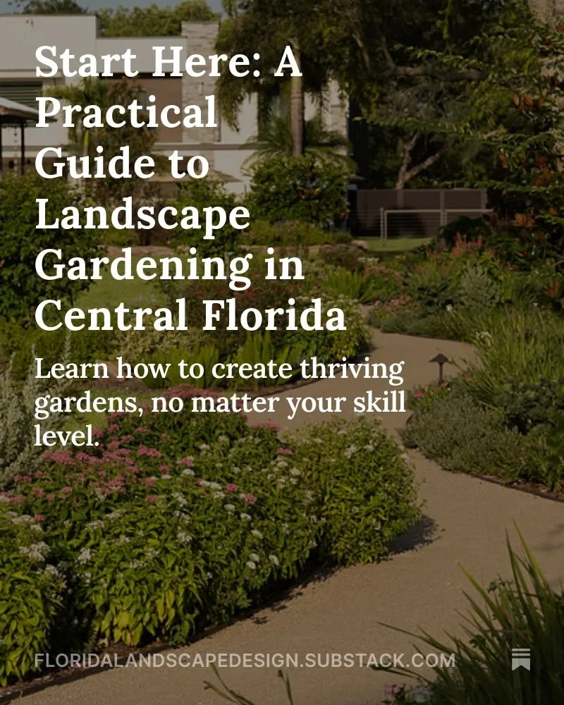 I&rsquo;m excited to announce the launch of my Substack, a weekly newsletter dedicated to Florida Landscape Design!  Link in Bio 🌺

This is a great platform to be able to showcase my educational articles and know-how. I have over 30 years of experie