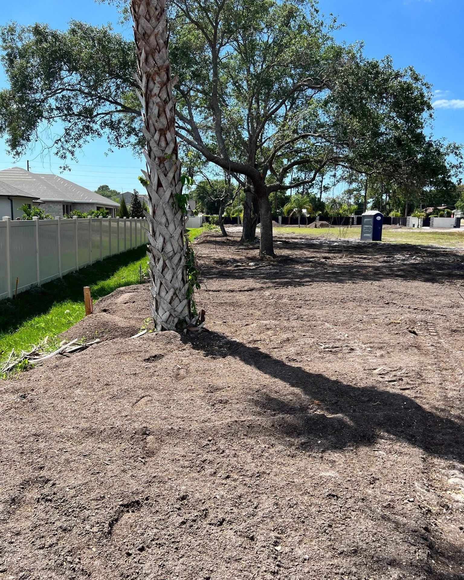 BEFORE &amp; AFTER. When I first came to see this job, it was a little overwhelming. The 2.5 acres was a wasteland of weeds and a few random Palm trees. Except for two sad Oak trees on the south property line, It was a wide open, full sun football fi