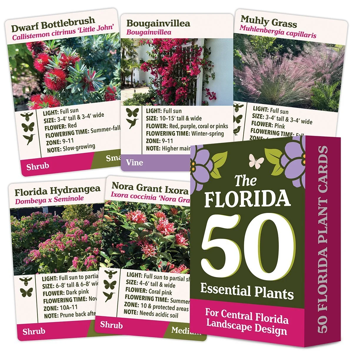 I've been working on something super special for you guys! These are the Florida 50 Essential Plants in card form. There are 50 cards, each containing one plant with a photo, essential information such as Zone, Sun/Shade, Size, Color and more. I want