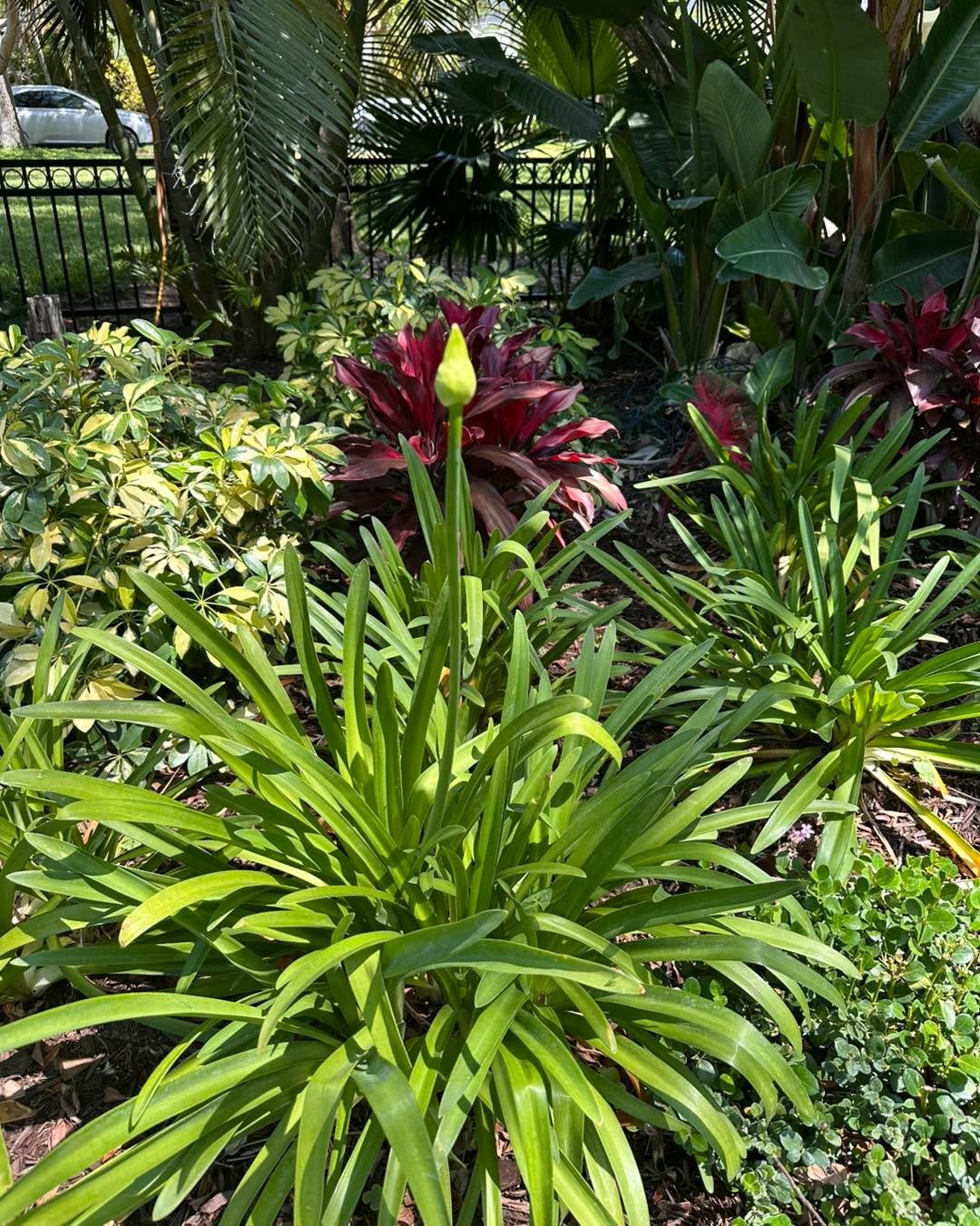 The anticipation is killing me!