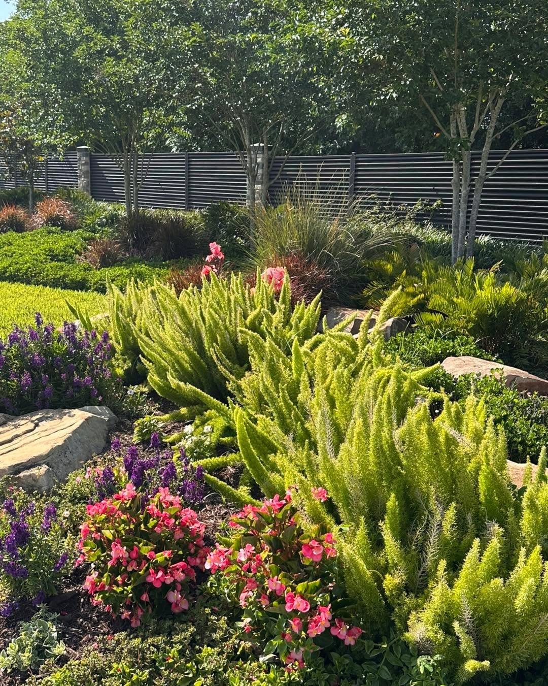It&rsquo;s 65 degrees! The perfect day to get out in the garden!! 🌺🐝🌺