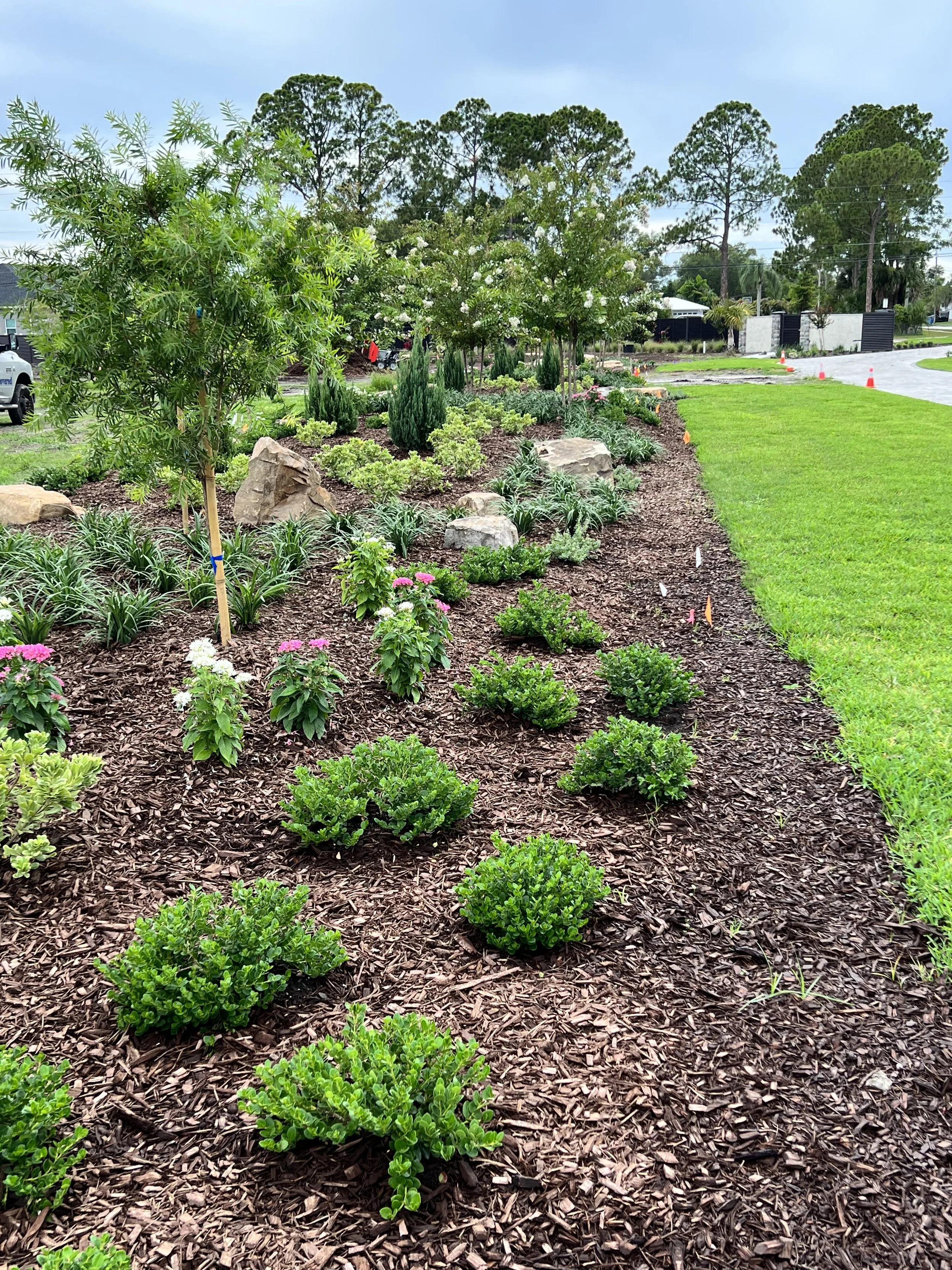 The first planted berm.