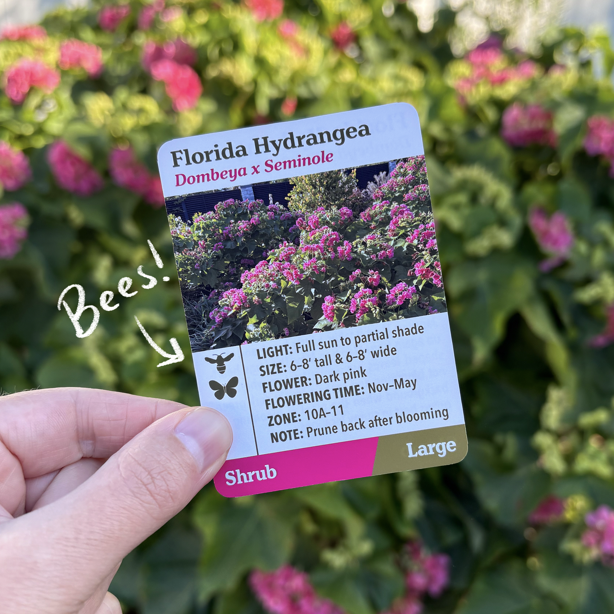 Untitled_Artwork 4.png