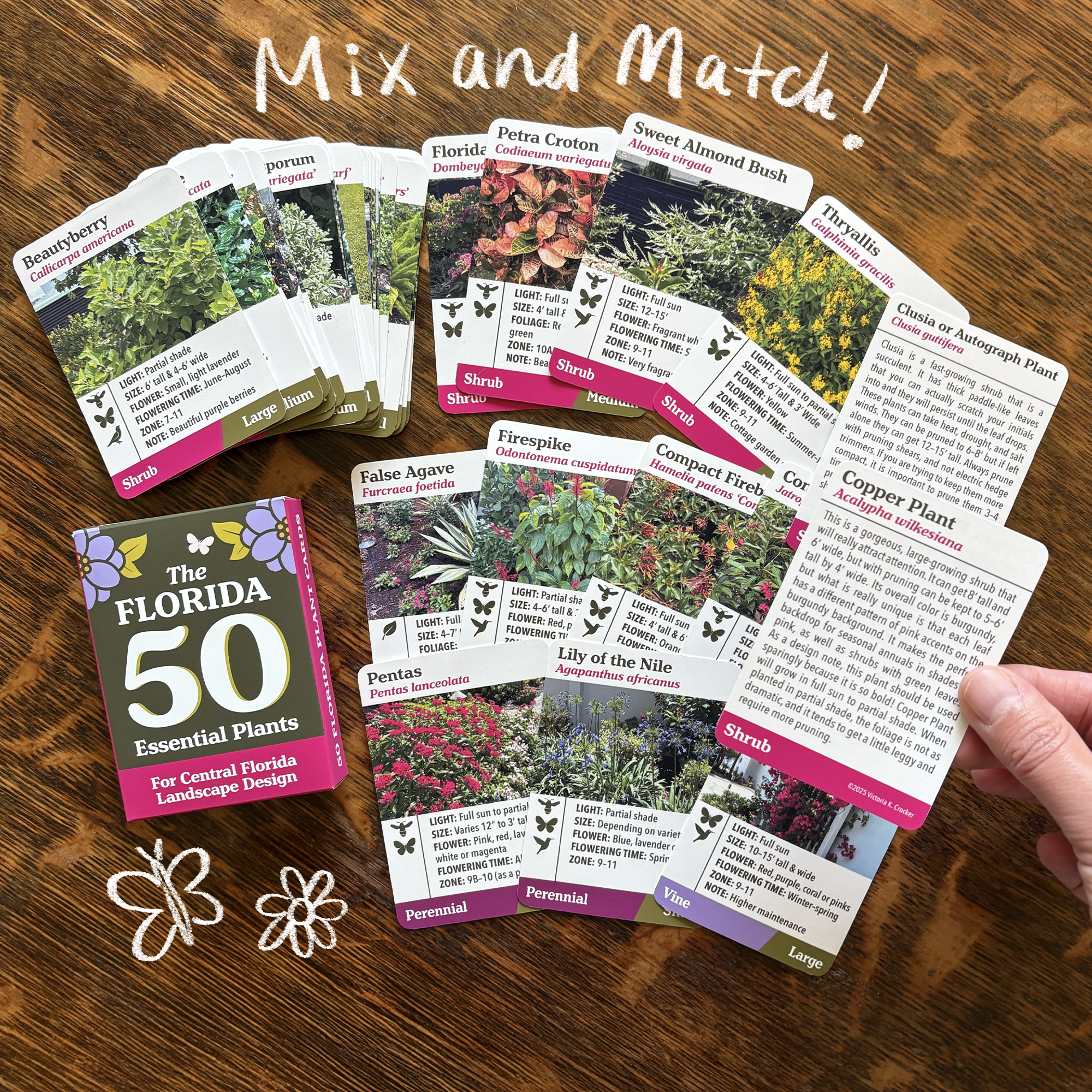 Untitled_Artwork 5.png