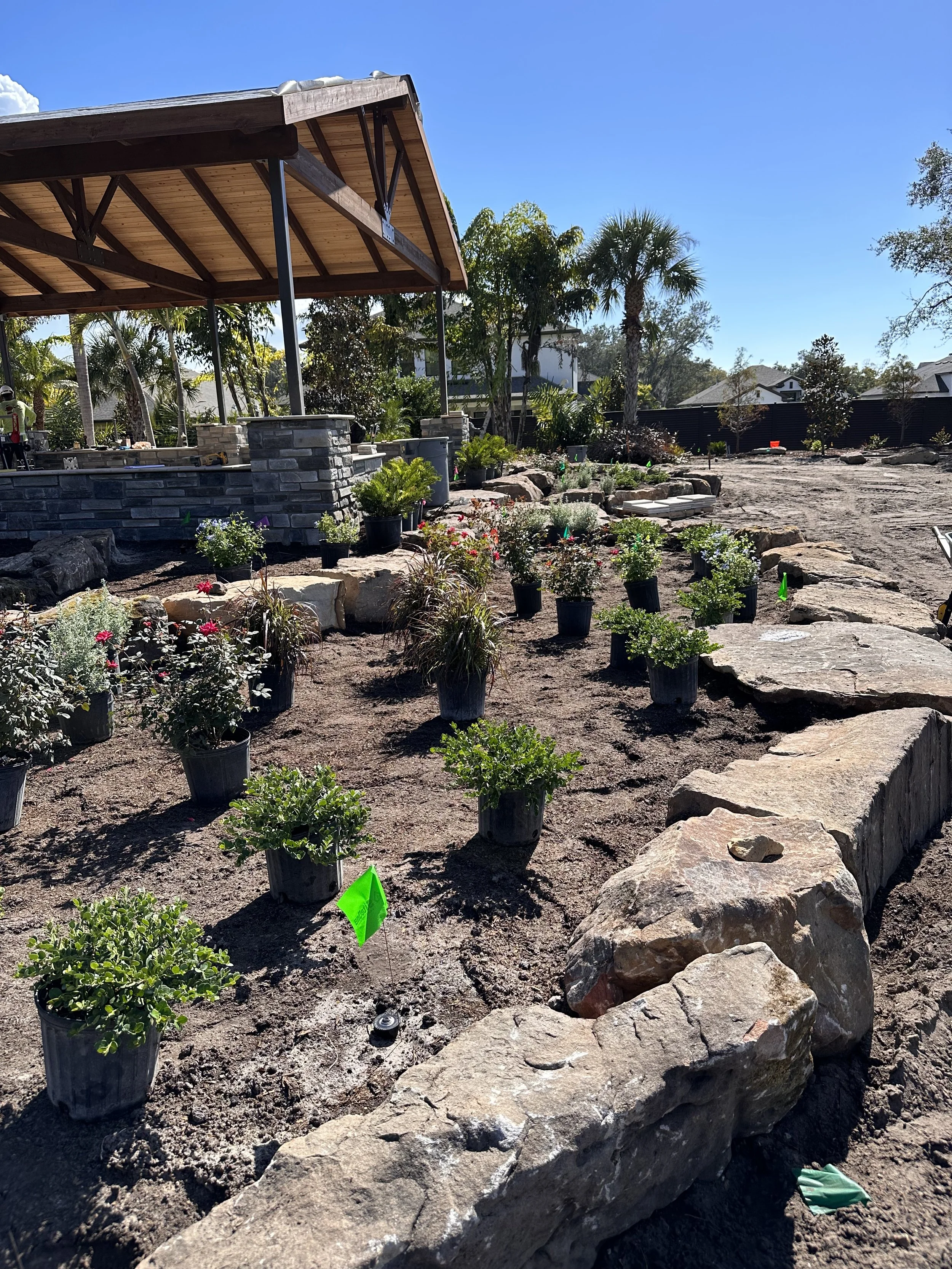 Once the rock garden was completed we filled in with more soil and these are the plants that were laid out for planting.