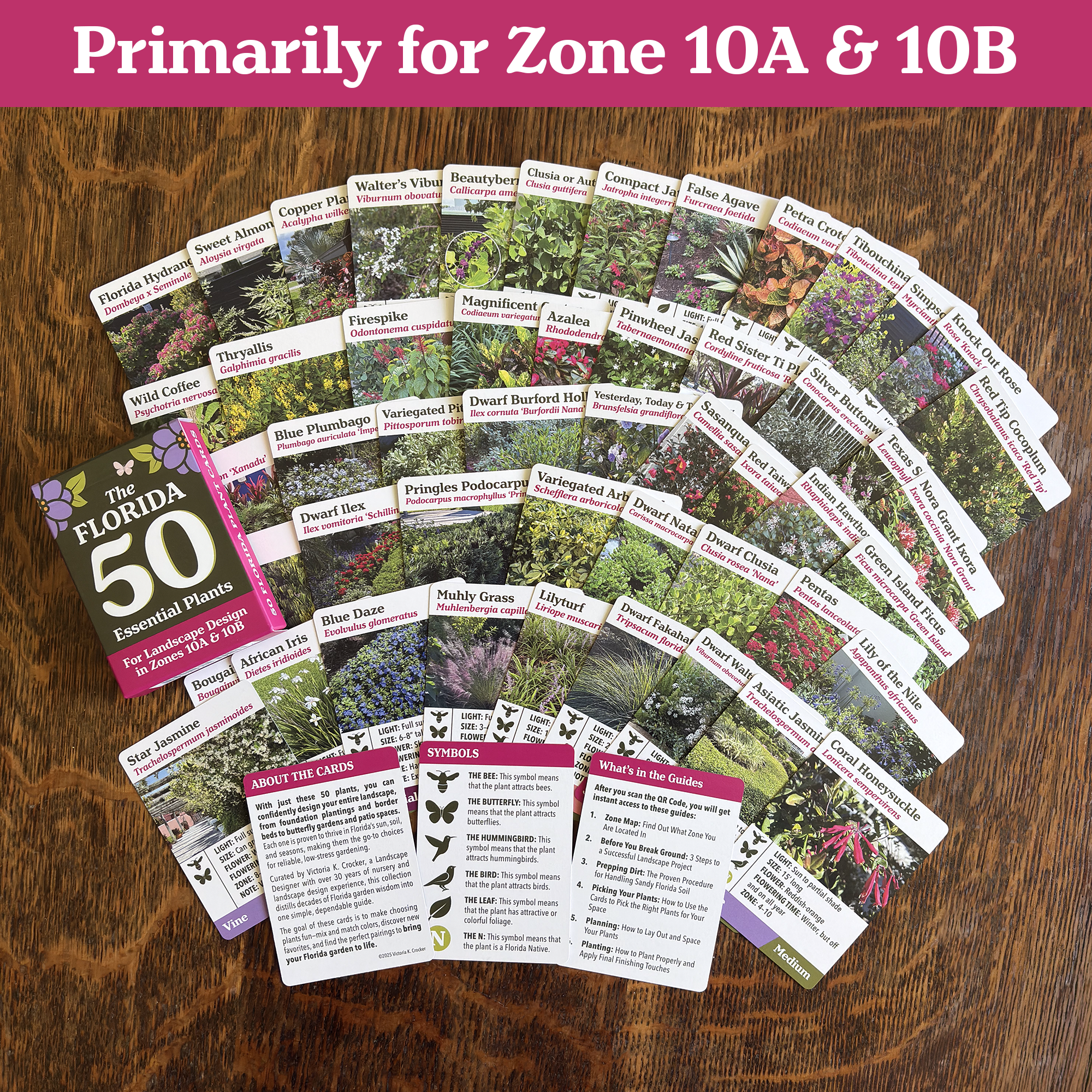 New Cards Fan Out.png