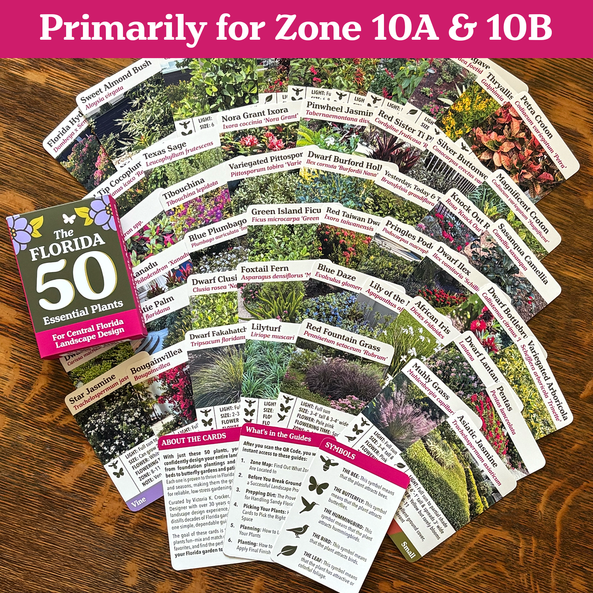 Card Group Large copy.png