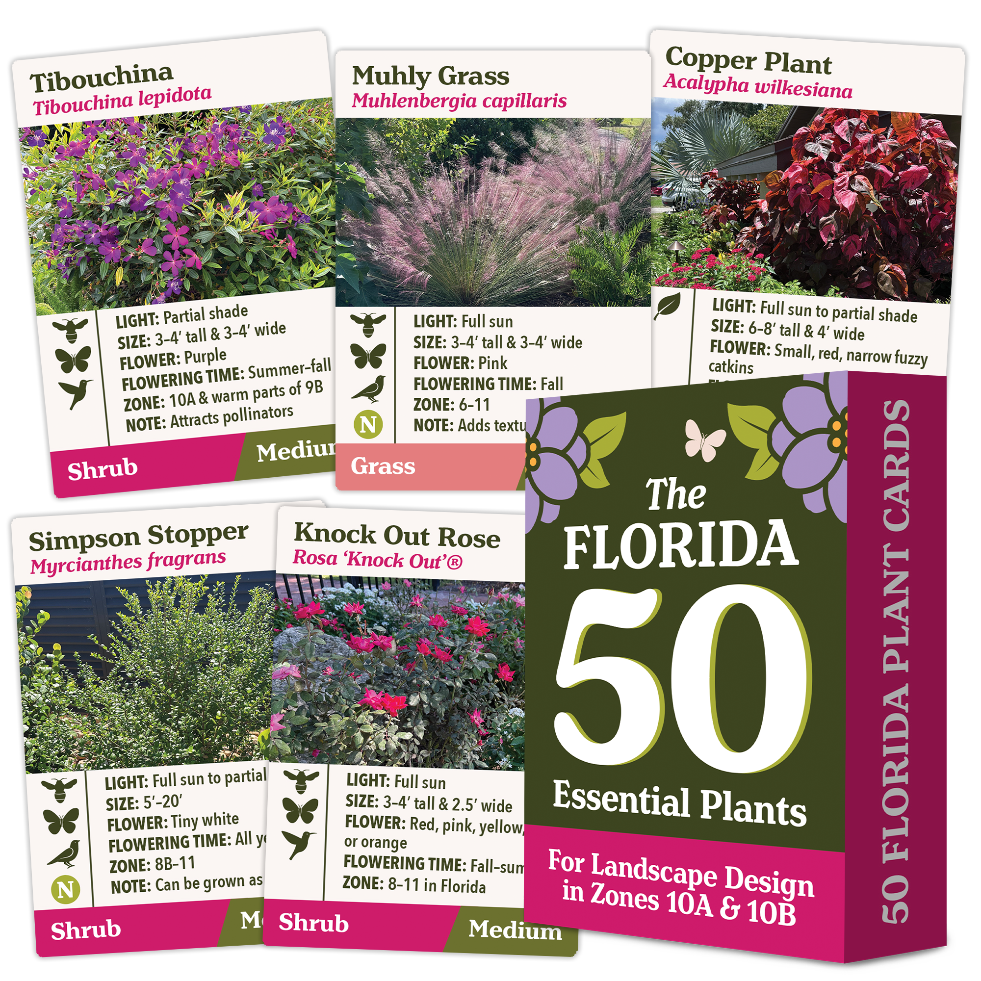 The Florida 50 Essential Plants Card Deck - Zone 10A and 10B