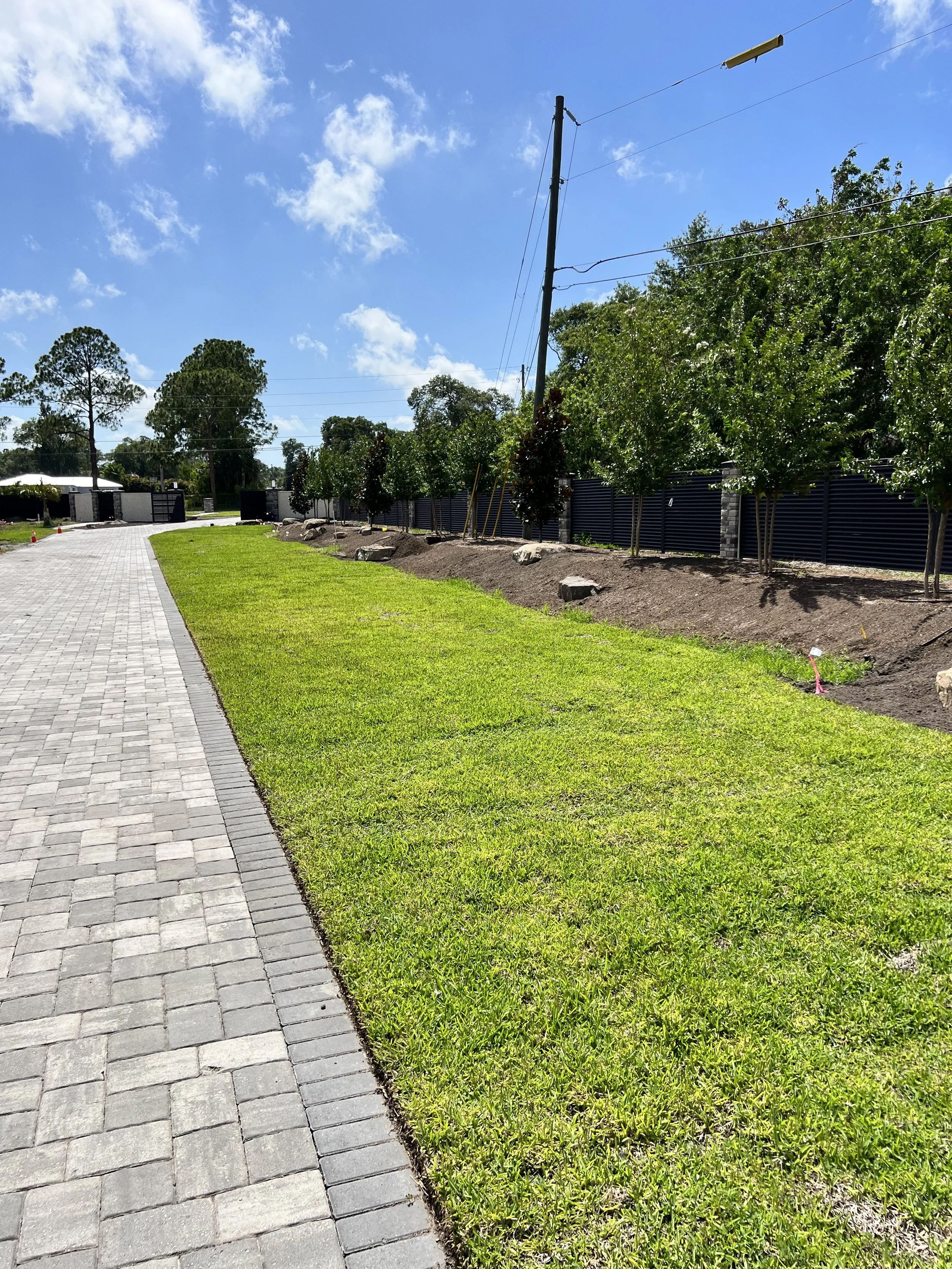 Starting to plant the trees.