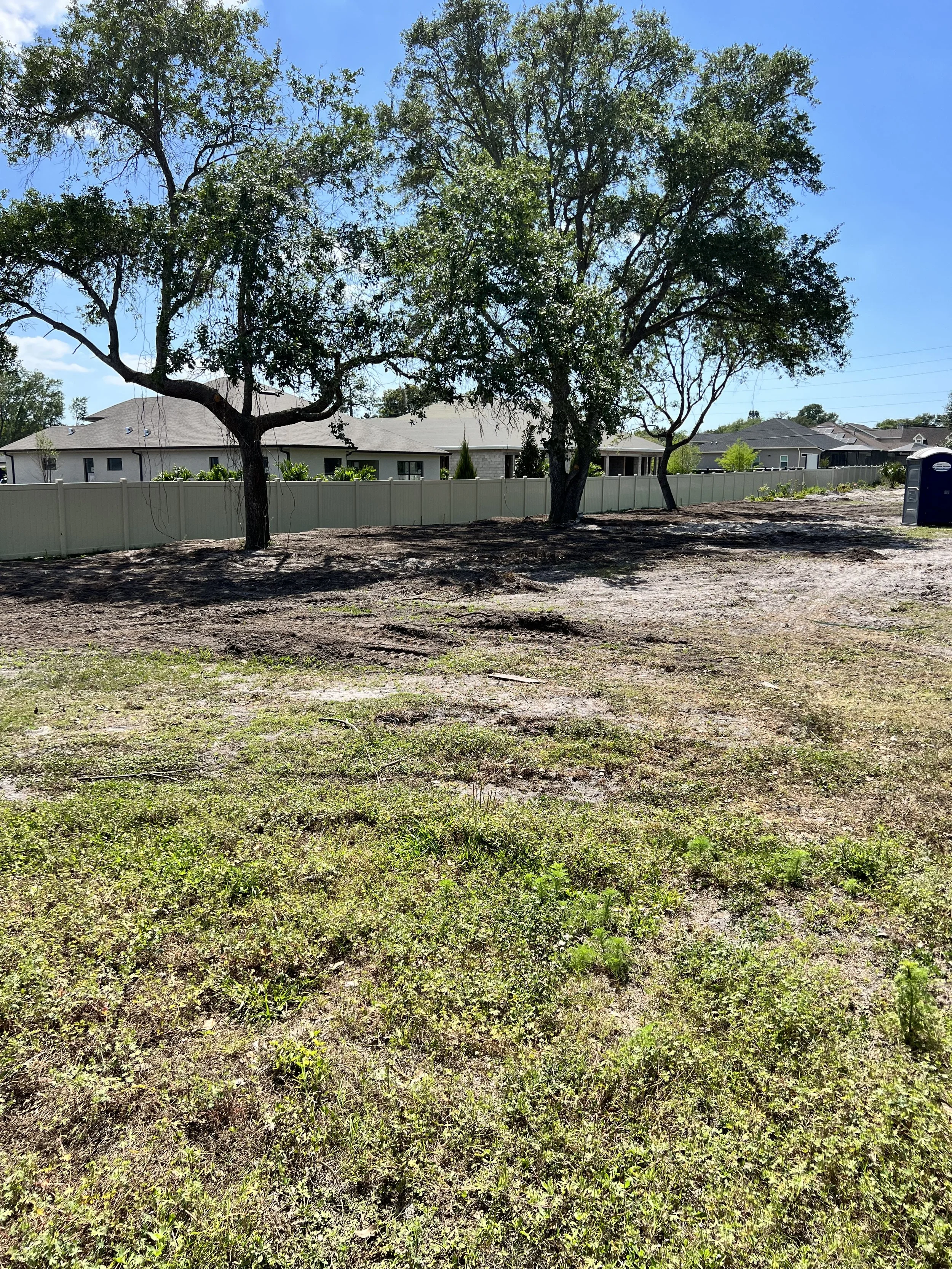 These were the only trees that were on the property when we started and we made sure to design the gardens around them.