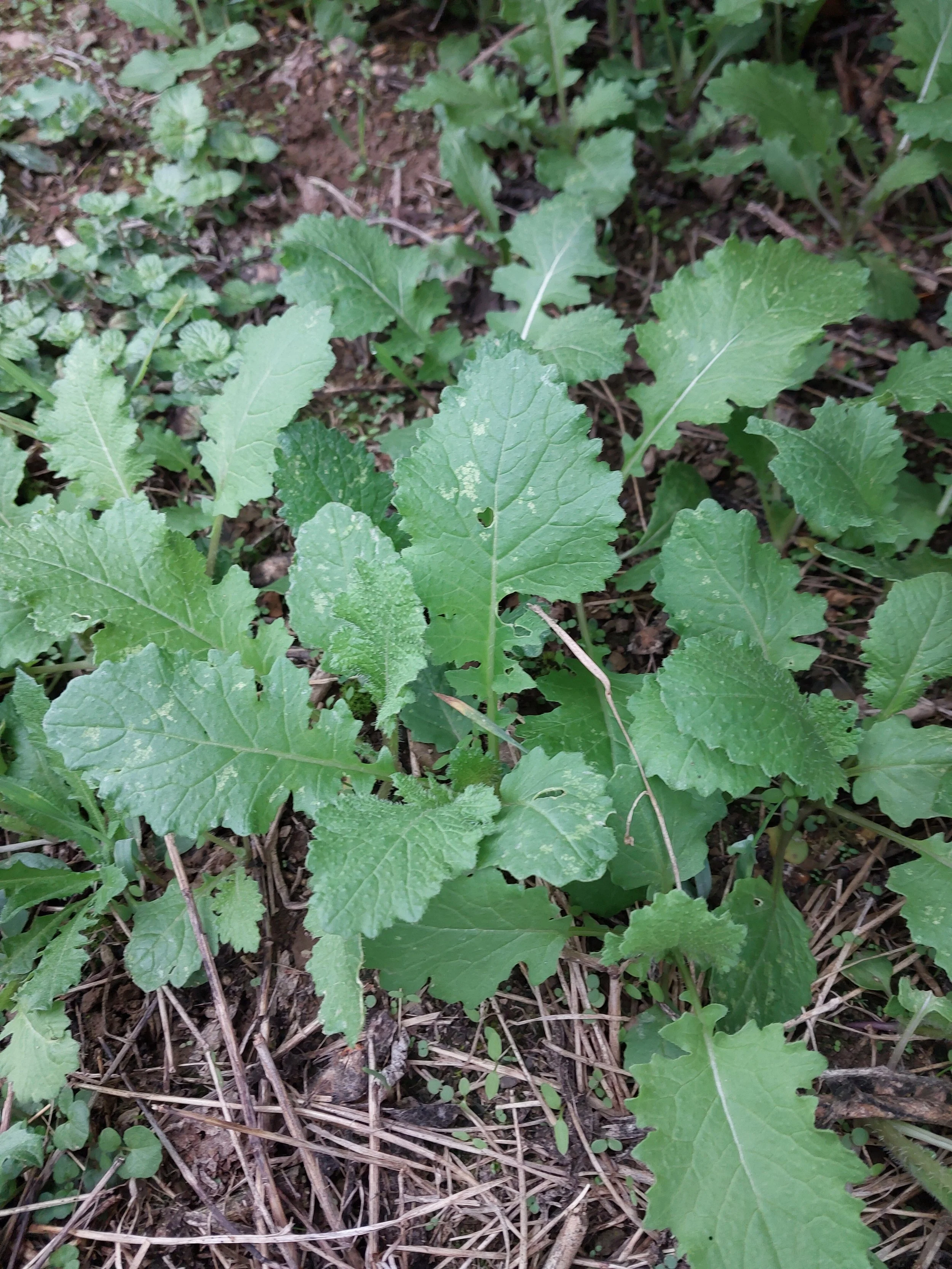 2024-09-29T13_36_16-04_00 (1).JPEG