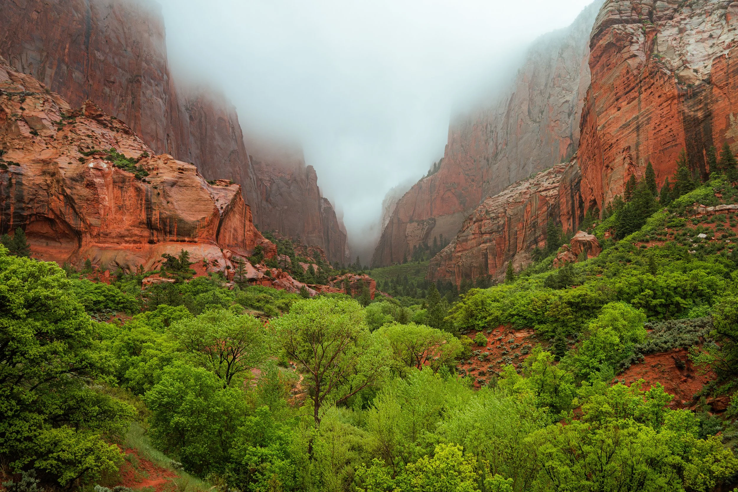 Canyon Fog