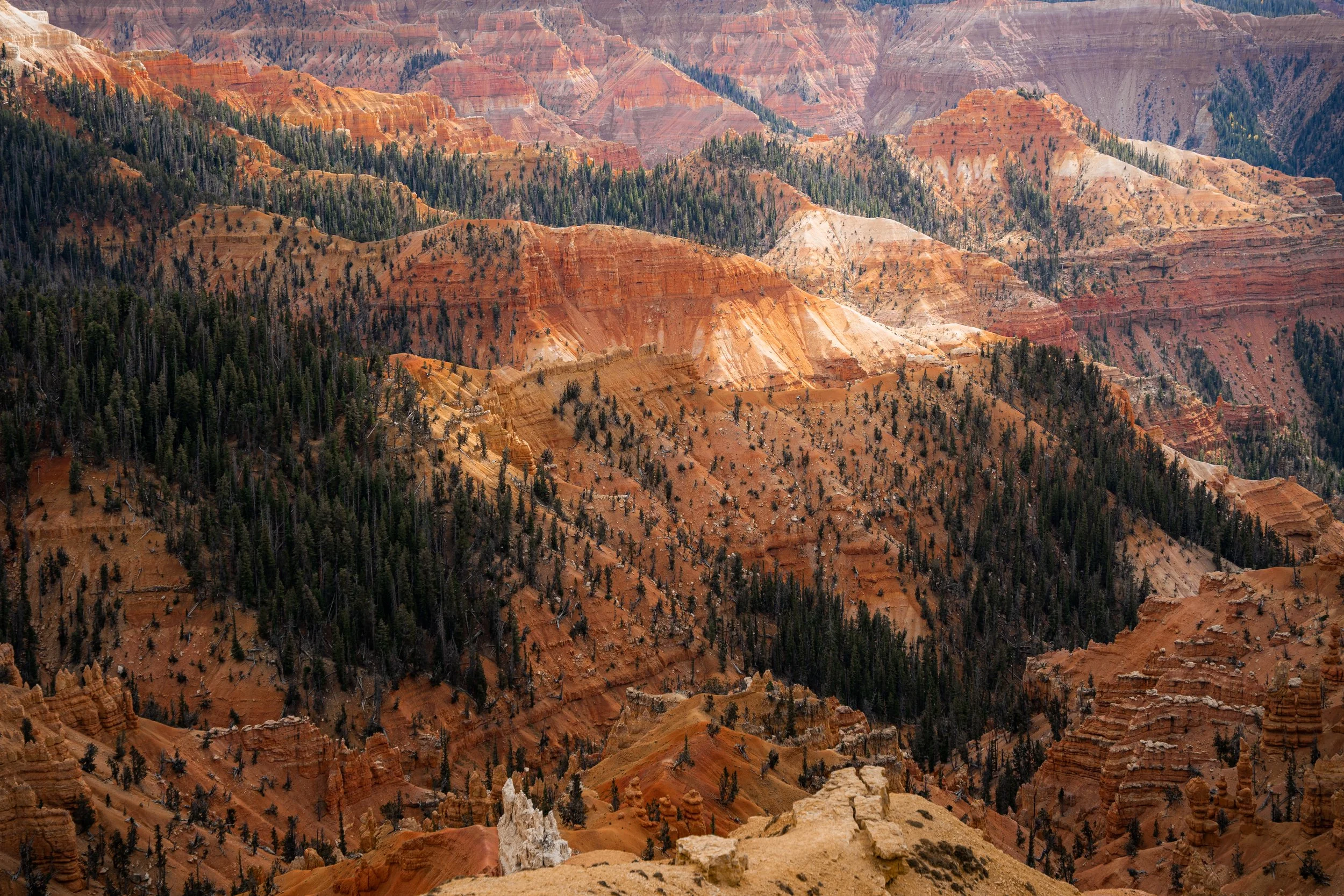 Cedar Breaks