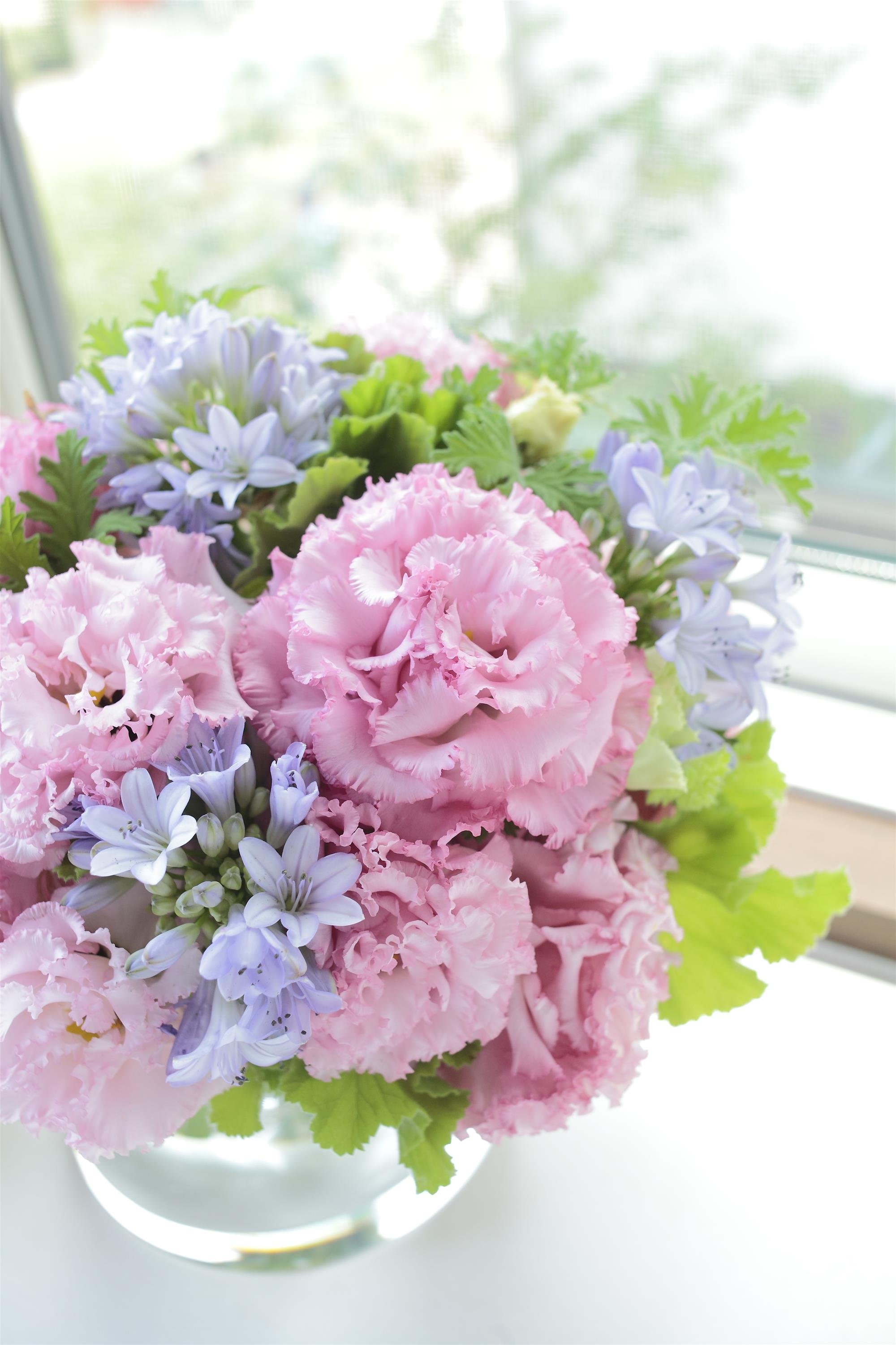 LISIANTHUS CUT FLOWER VOYAGE 2 PINK I I_Cutflower_Cutflower.jpg