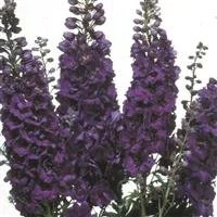 WEBTRACKIMAGE (71).jpeg
