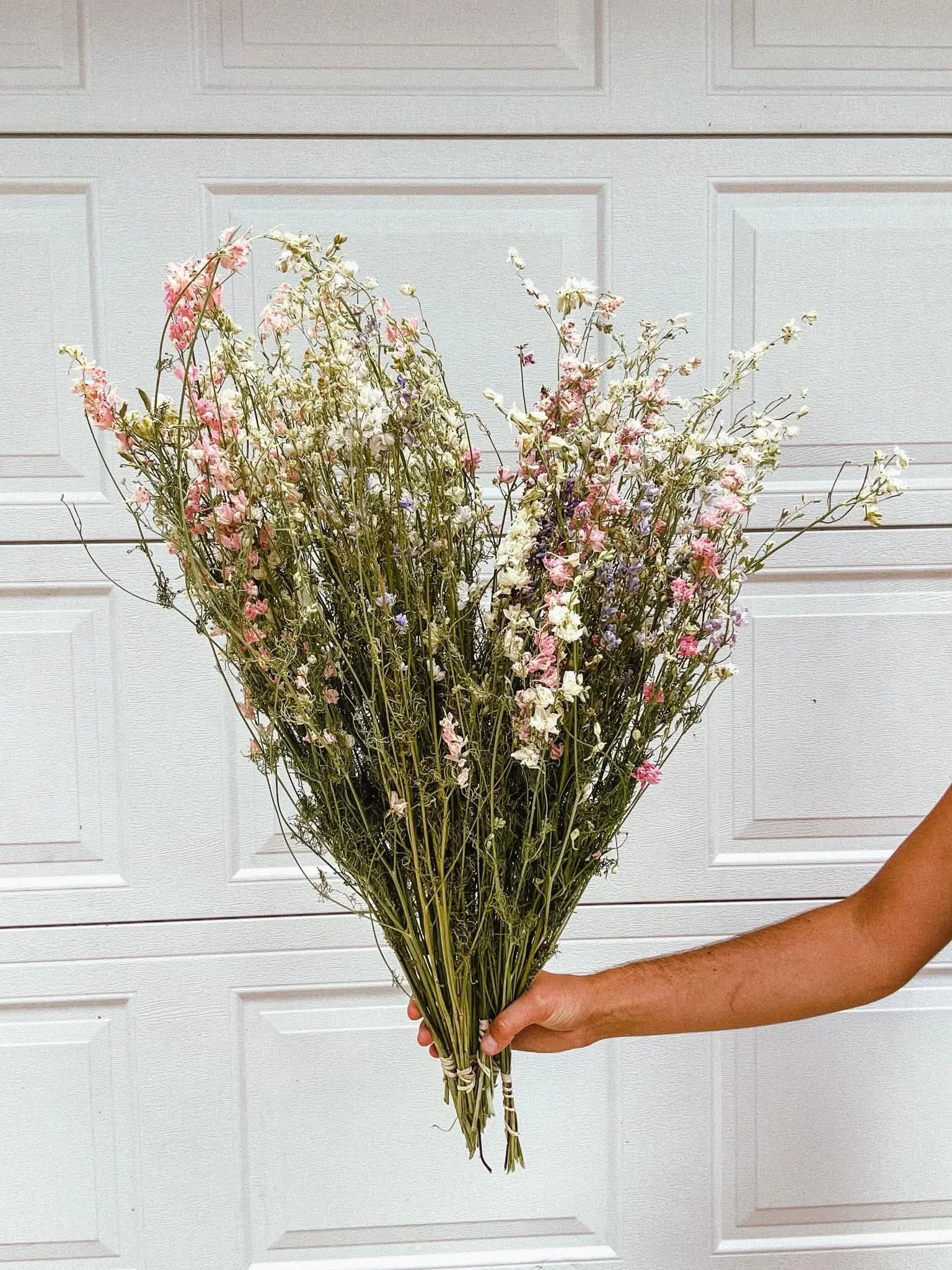 Larkspur | Dried Bunch