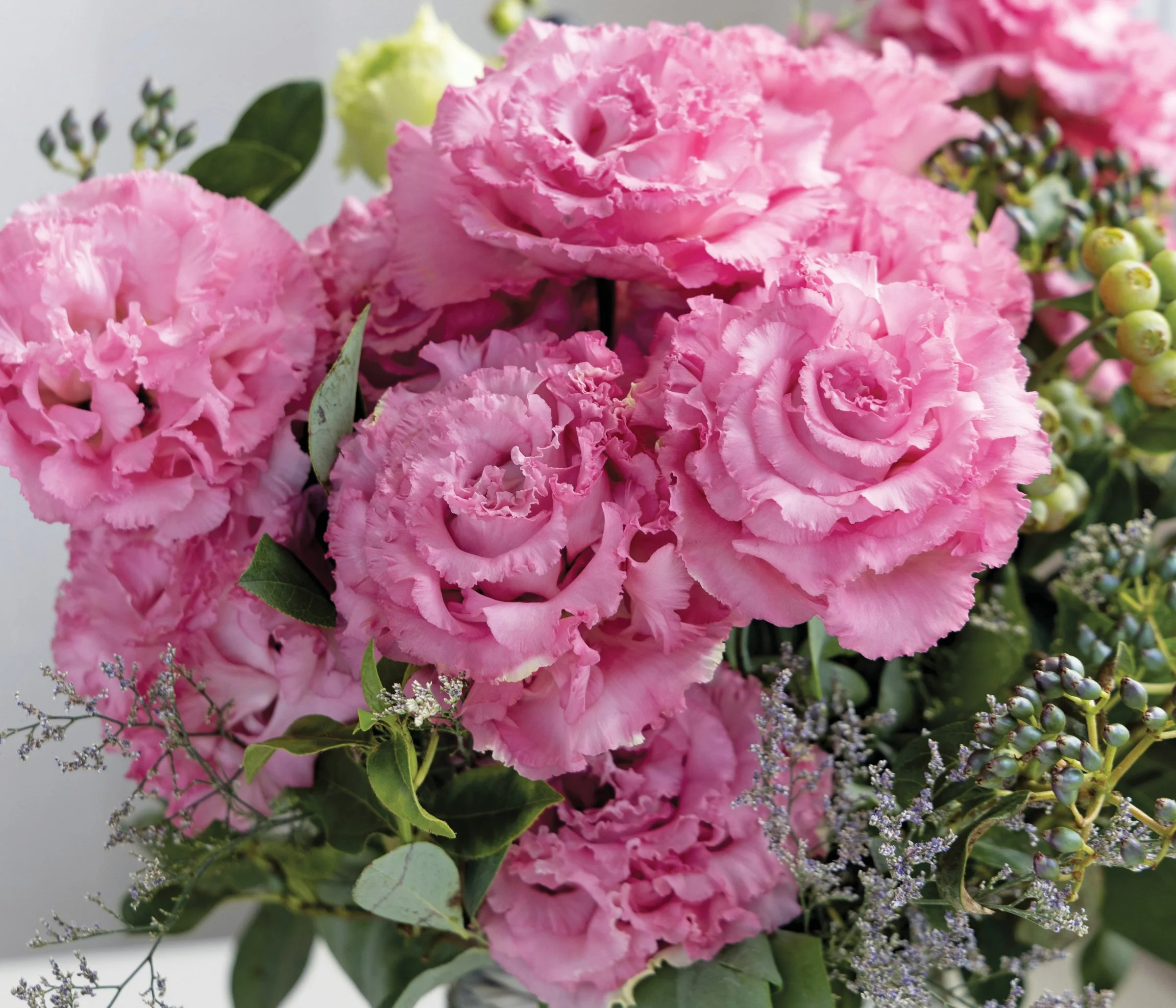 LISIANTHUS CUT FLOWER VOYAGE 2 PINK DEEP_Bloom_Bloom.jpg