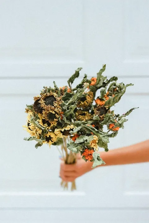 Sunflowers | Dried Bunch