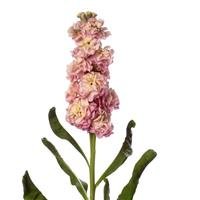 WEBTRACKIMAGE (14).jpeg