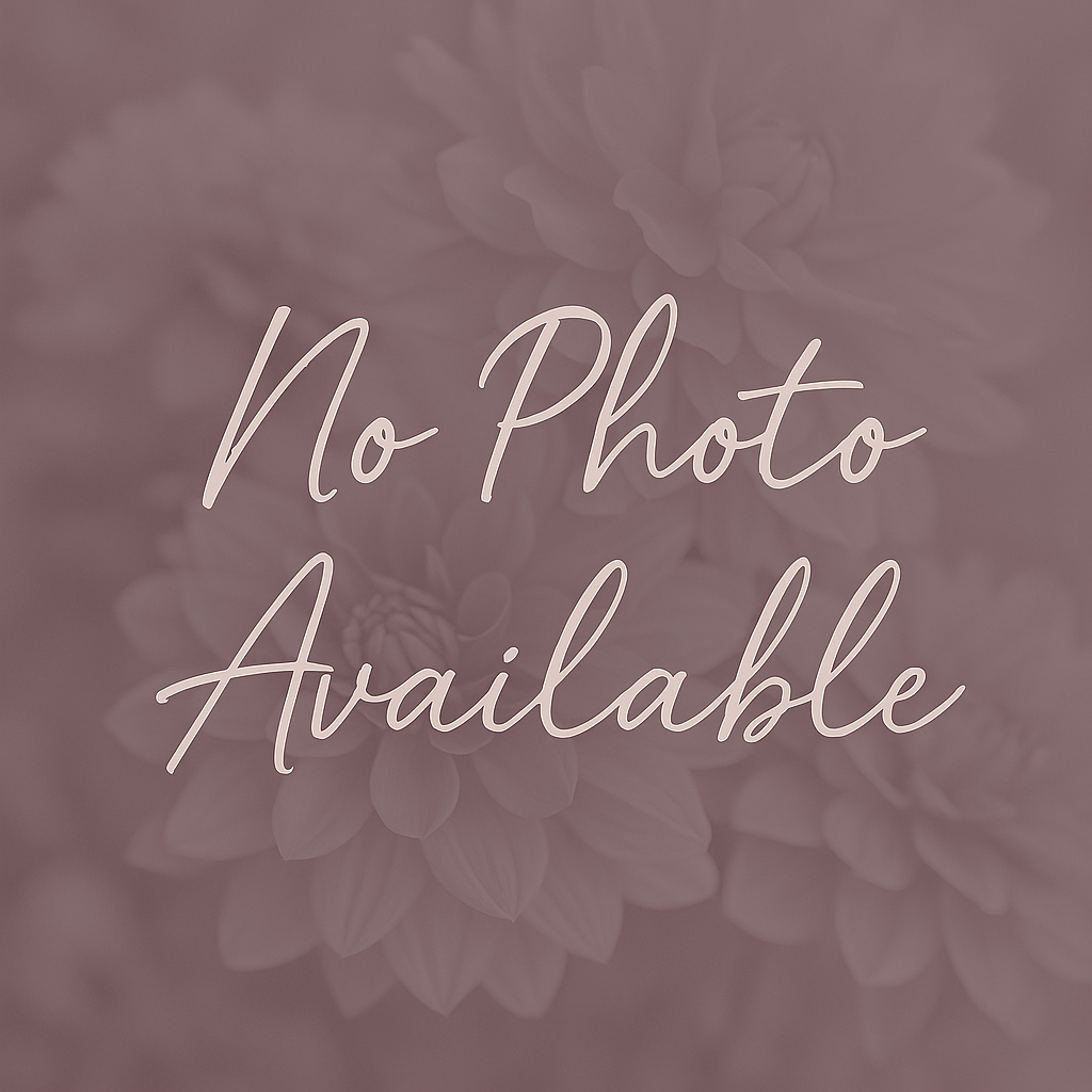 Clearview Daniel Dahlia