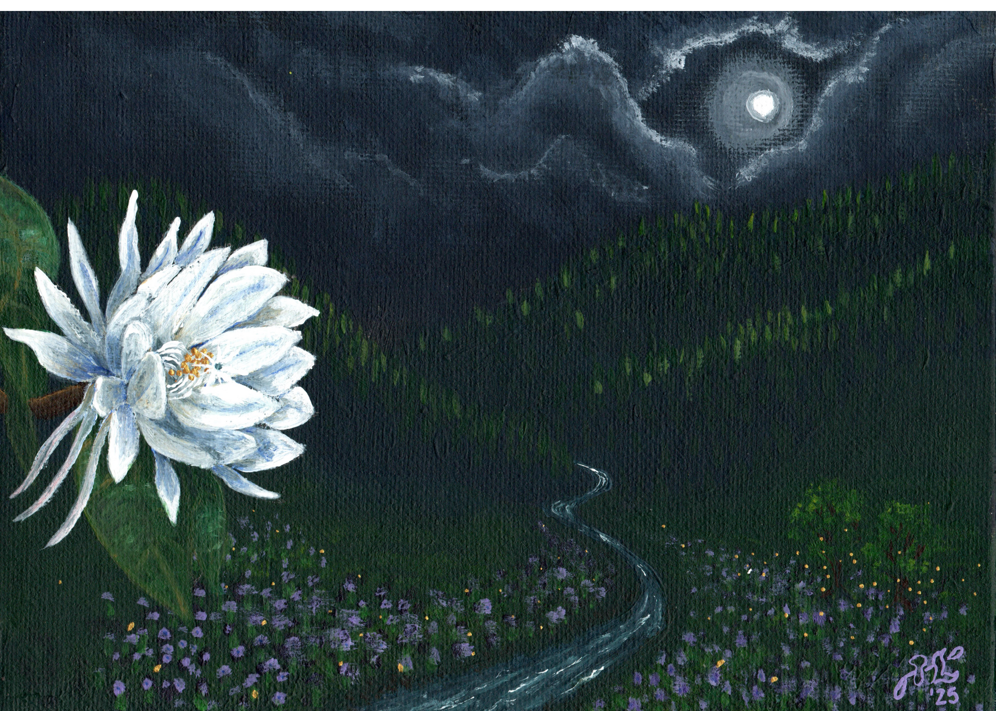 Queen of the Night