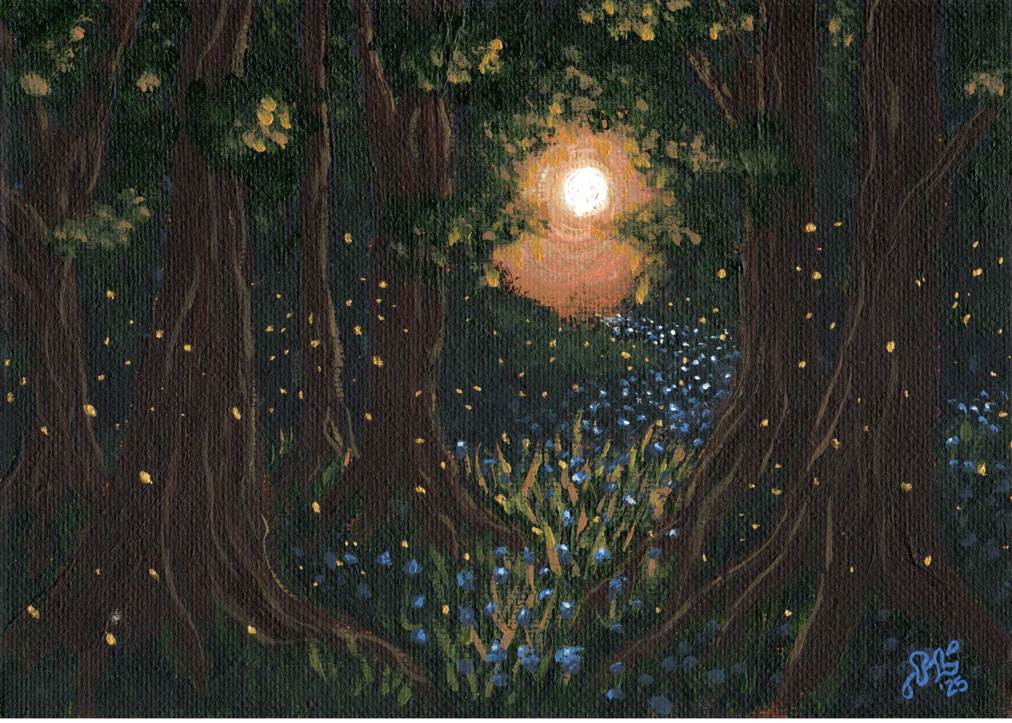 Firefly Grove