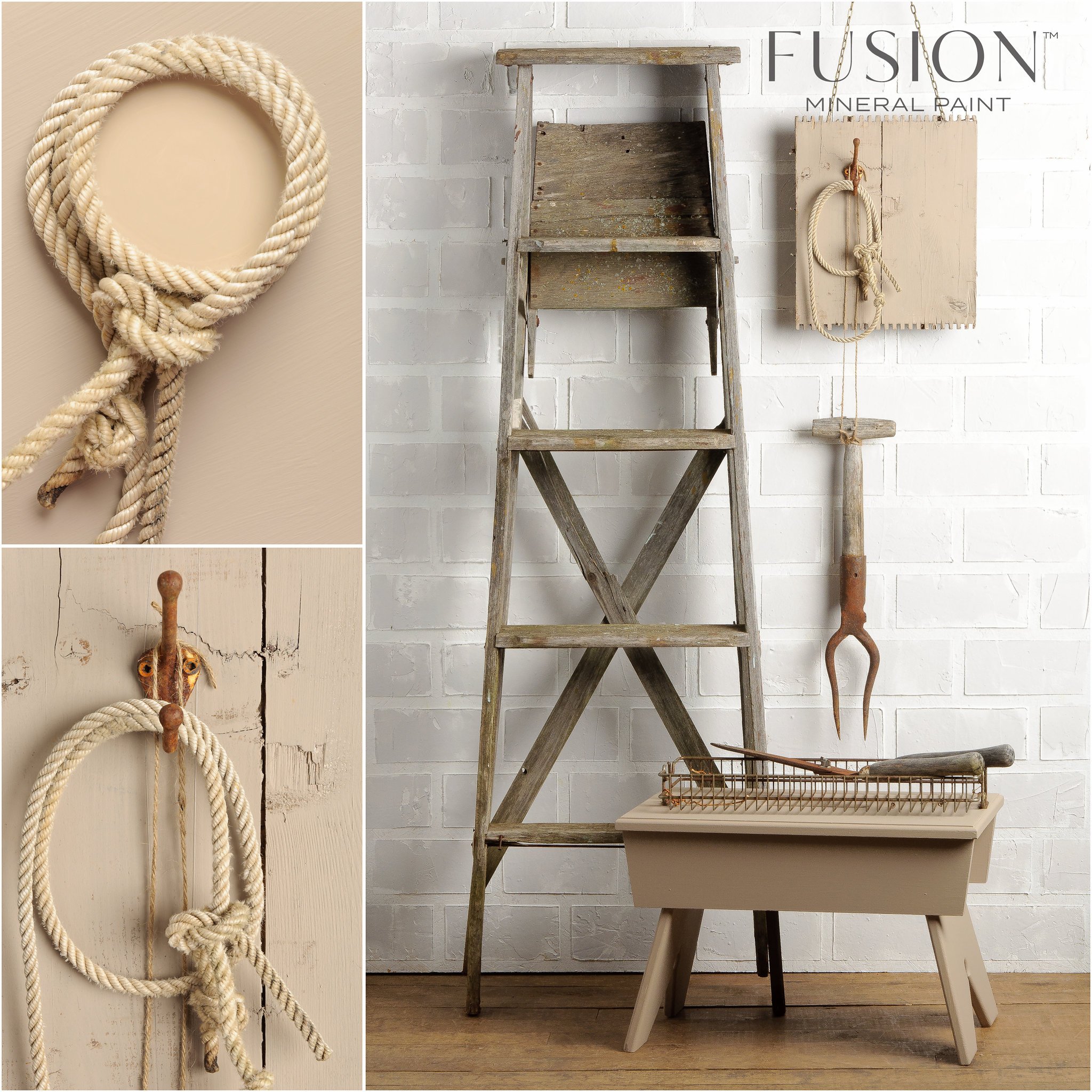 fusion-algonquin-collage-for-web.jpg