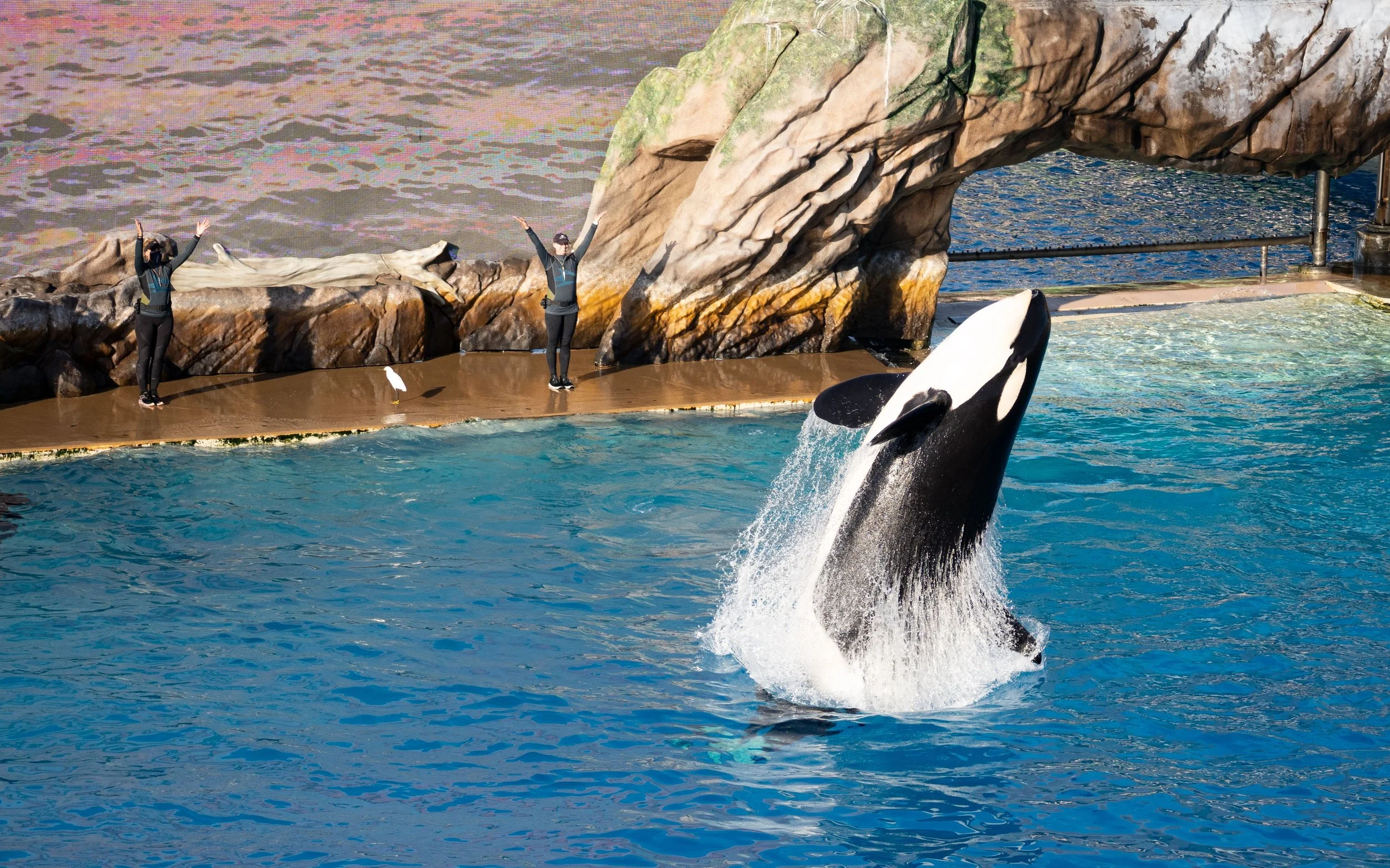 Seaworld.jpg
