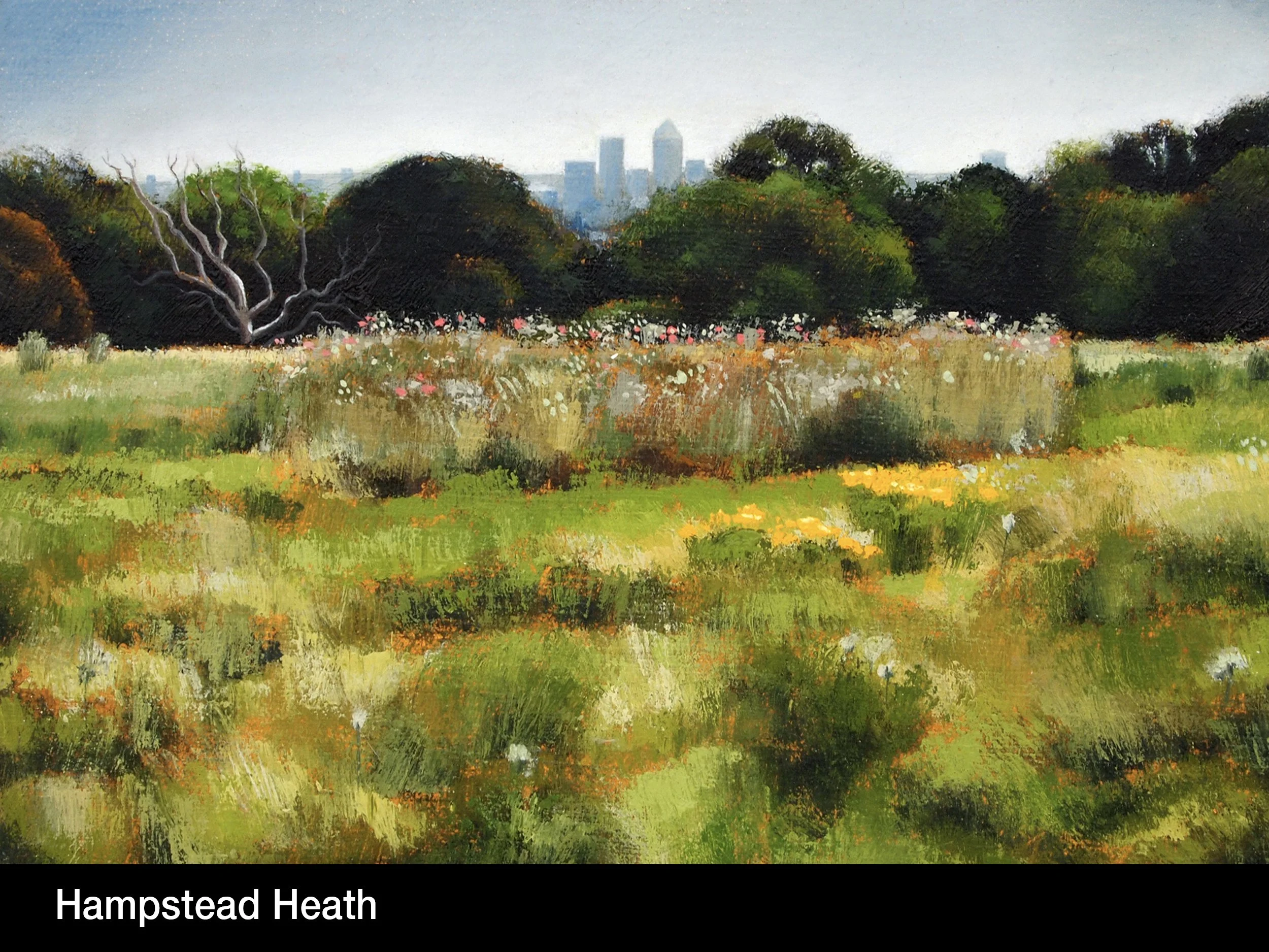 Hampstead Heath .jpg