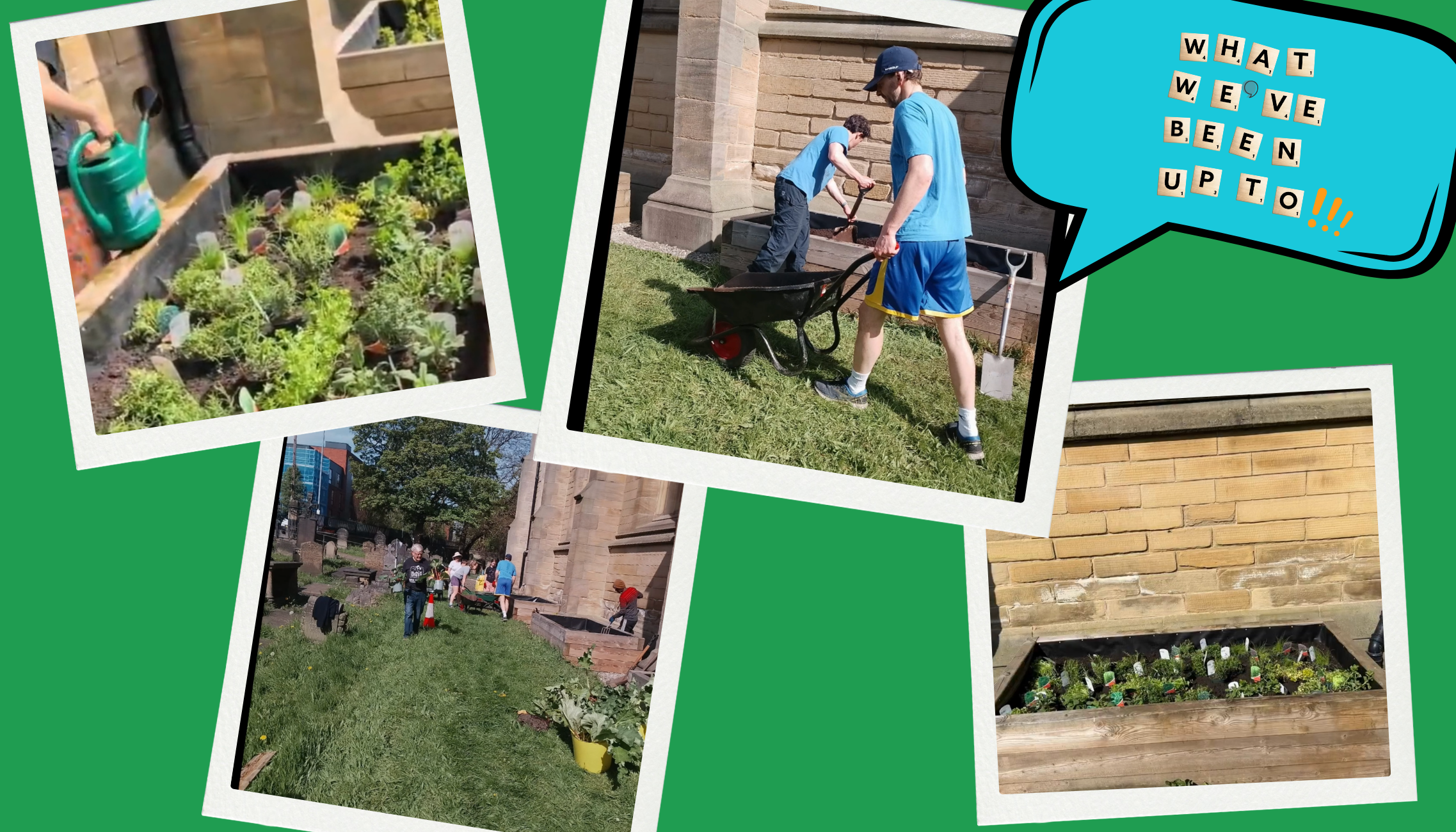 What we've been up to! 