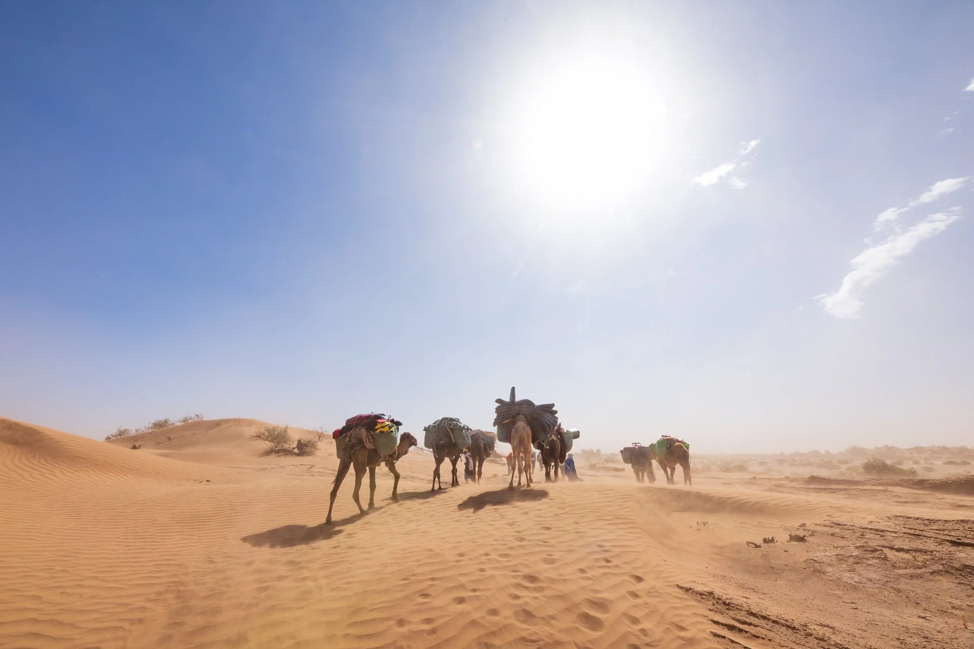 ames du desert - Maroc©Stéphane-Leroy-1044.jpg