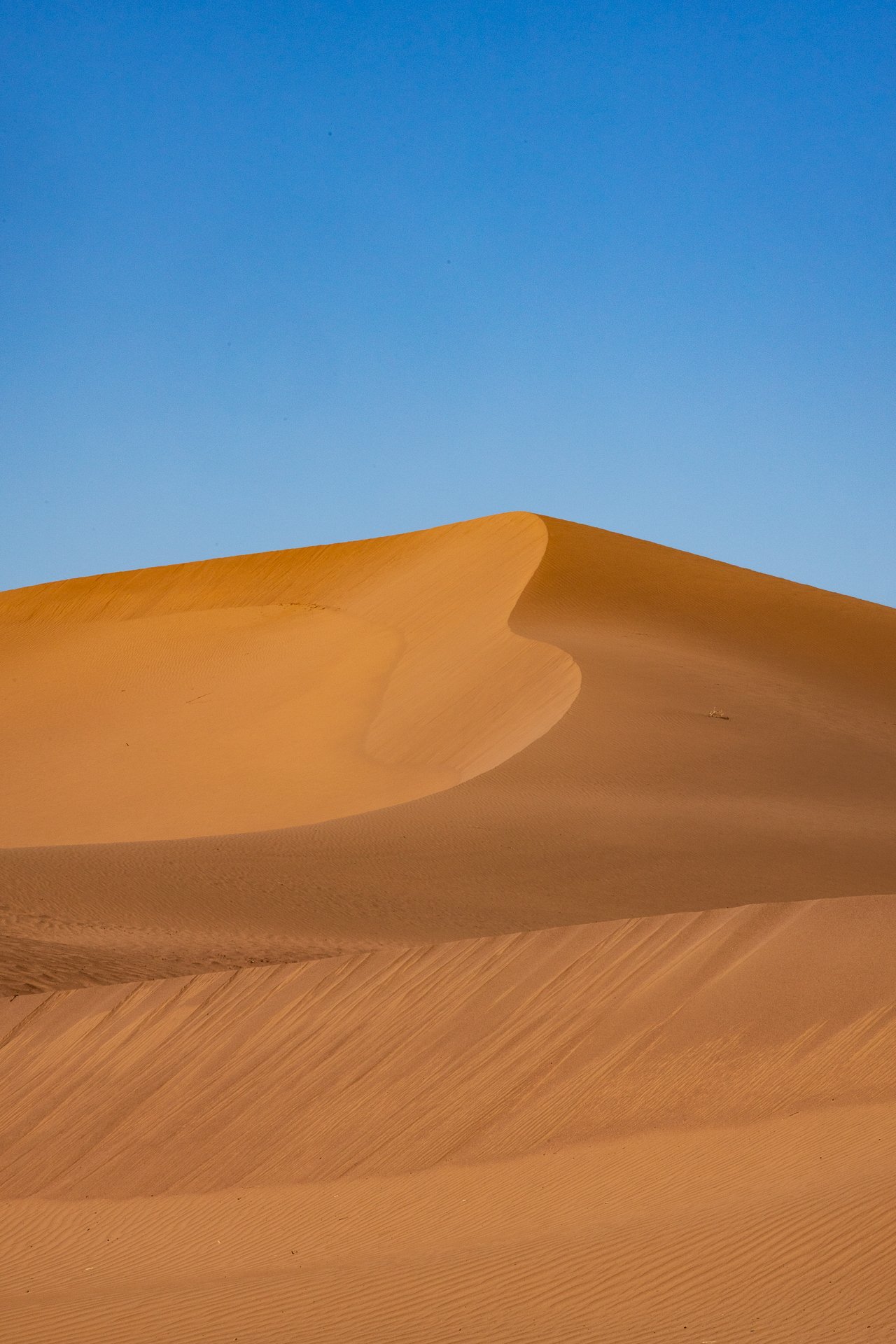 ames du desert - Maroc©Stéphane-Leroy-1510.jpg