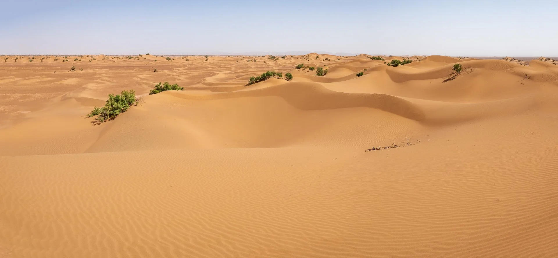 ames du desert - Maroc©Stéphane-Leroy--2.jpg