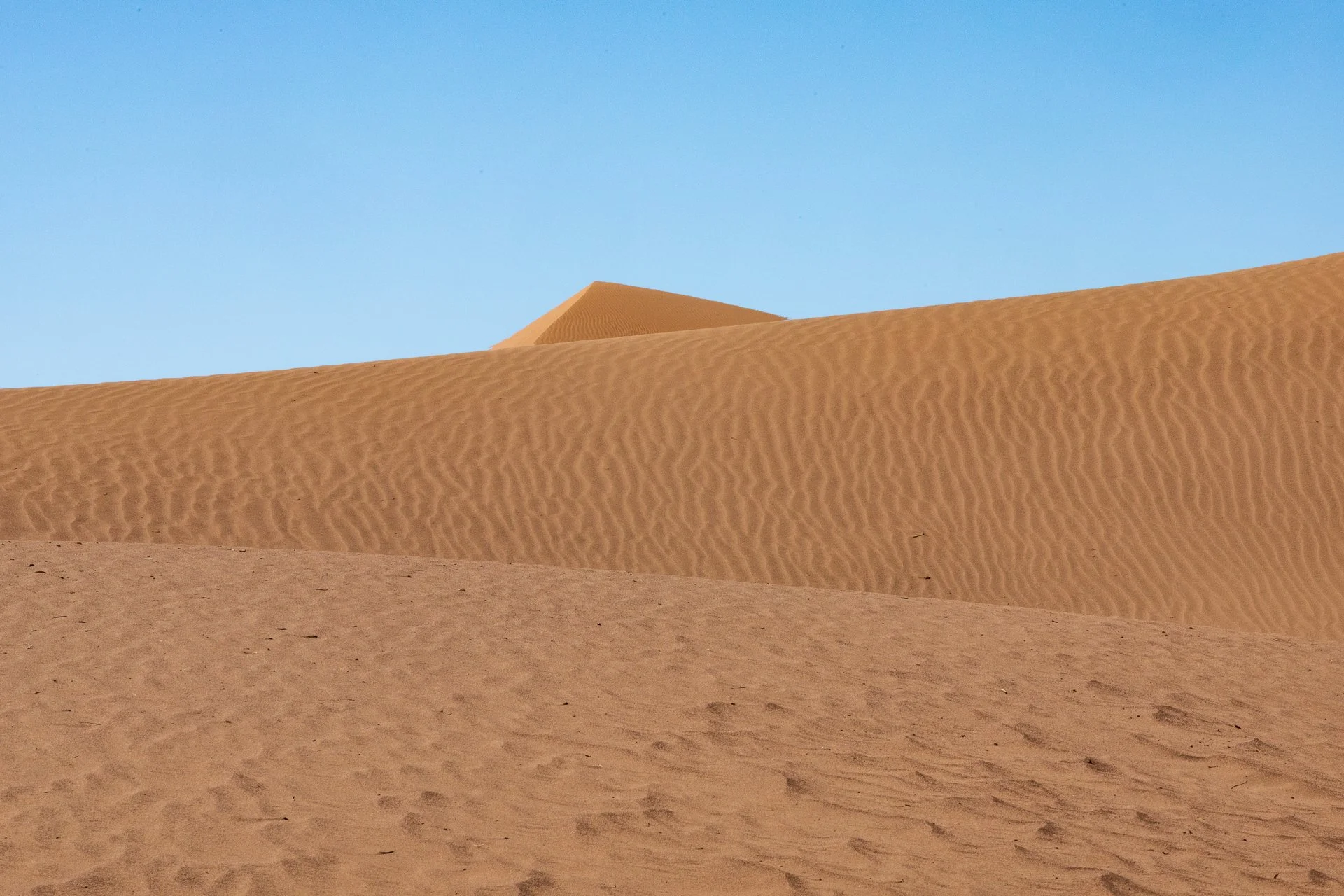 ames du desert - Maroc©Stéphane-Leroy-1500.jpg