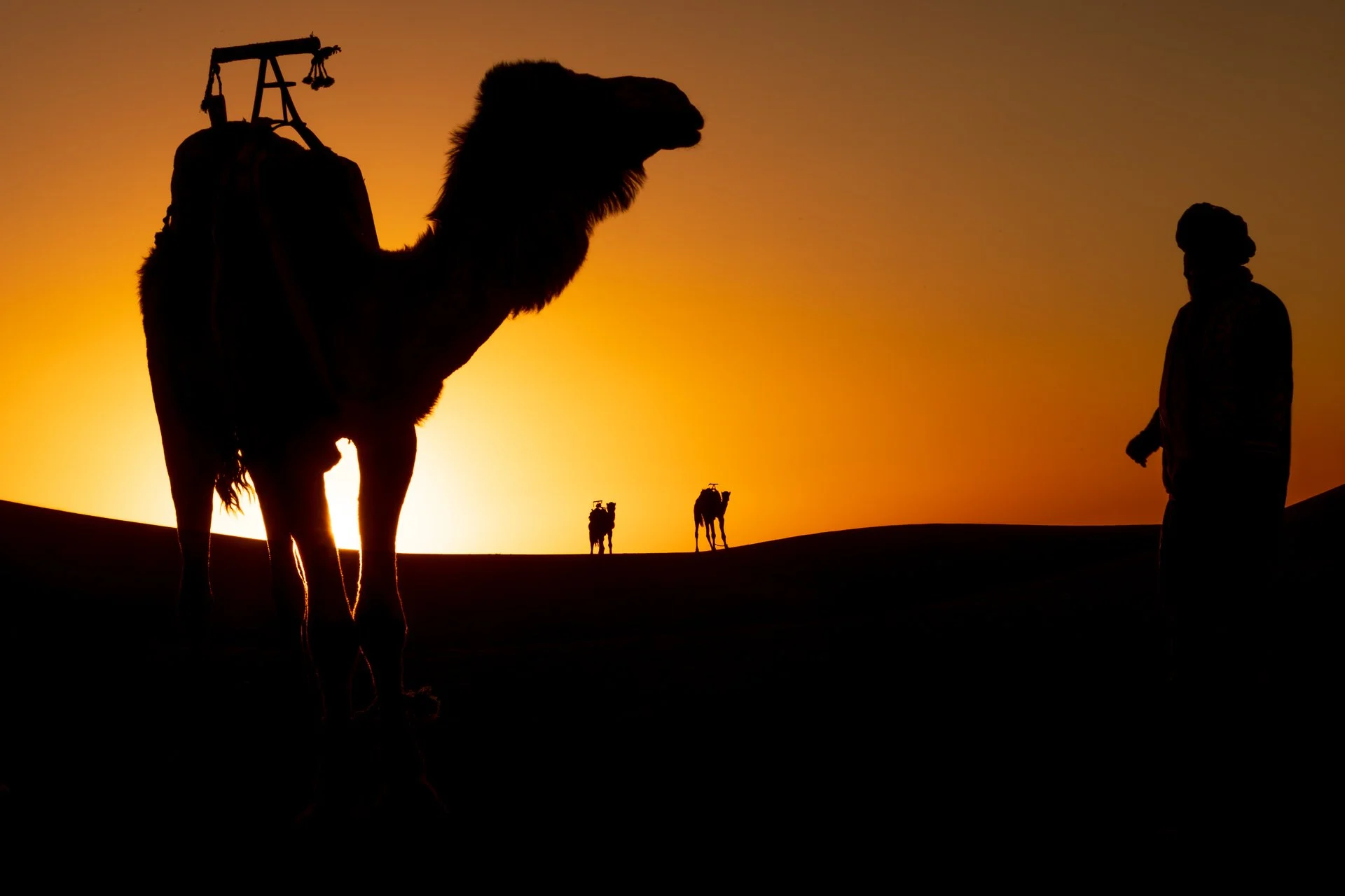 ames du desert - Maroc©Stéphane-Leroy-1596.jpg