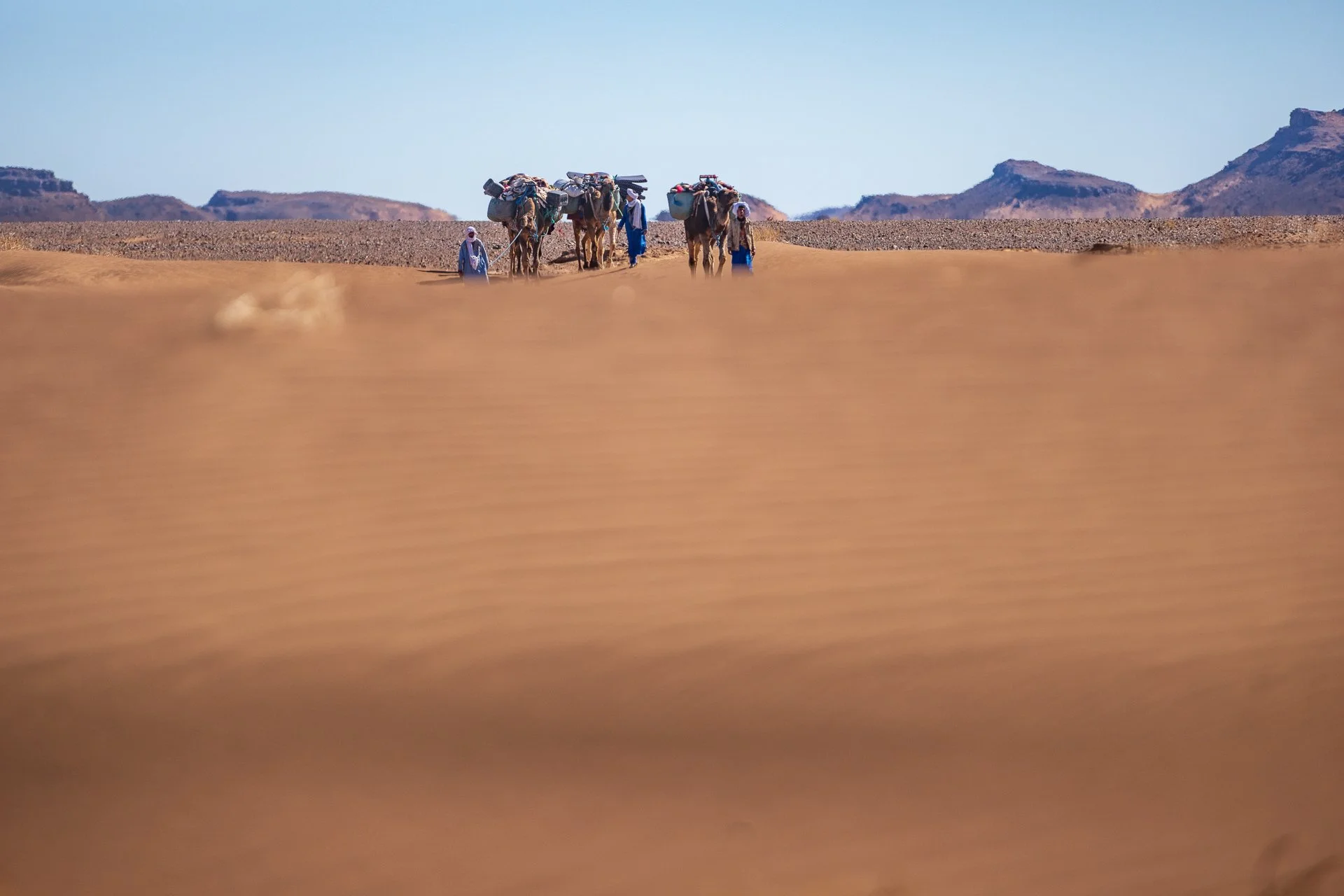 ames du desert - Maroc©Stéphane-Leroy-1354.jpg