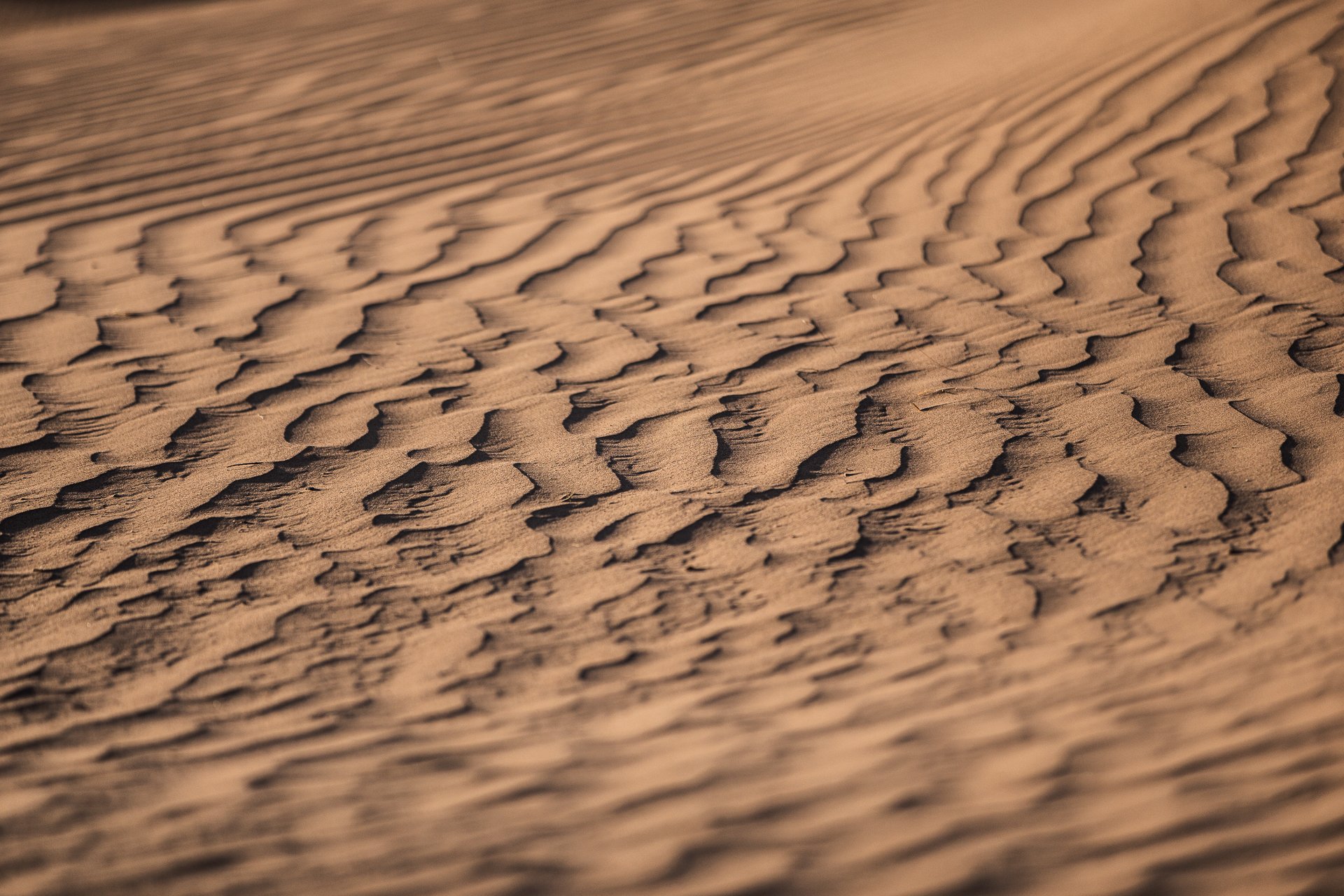 ames du desert - Maroc©Stéphane-Leroy-0955.jpg