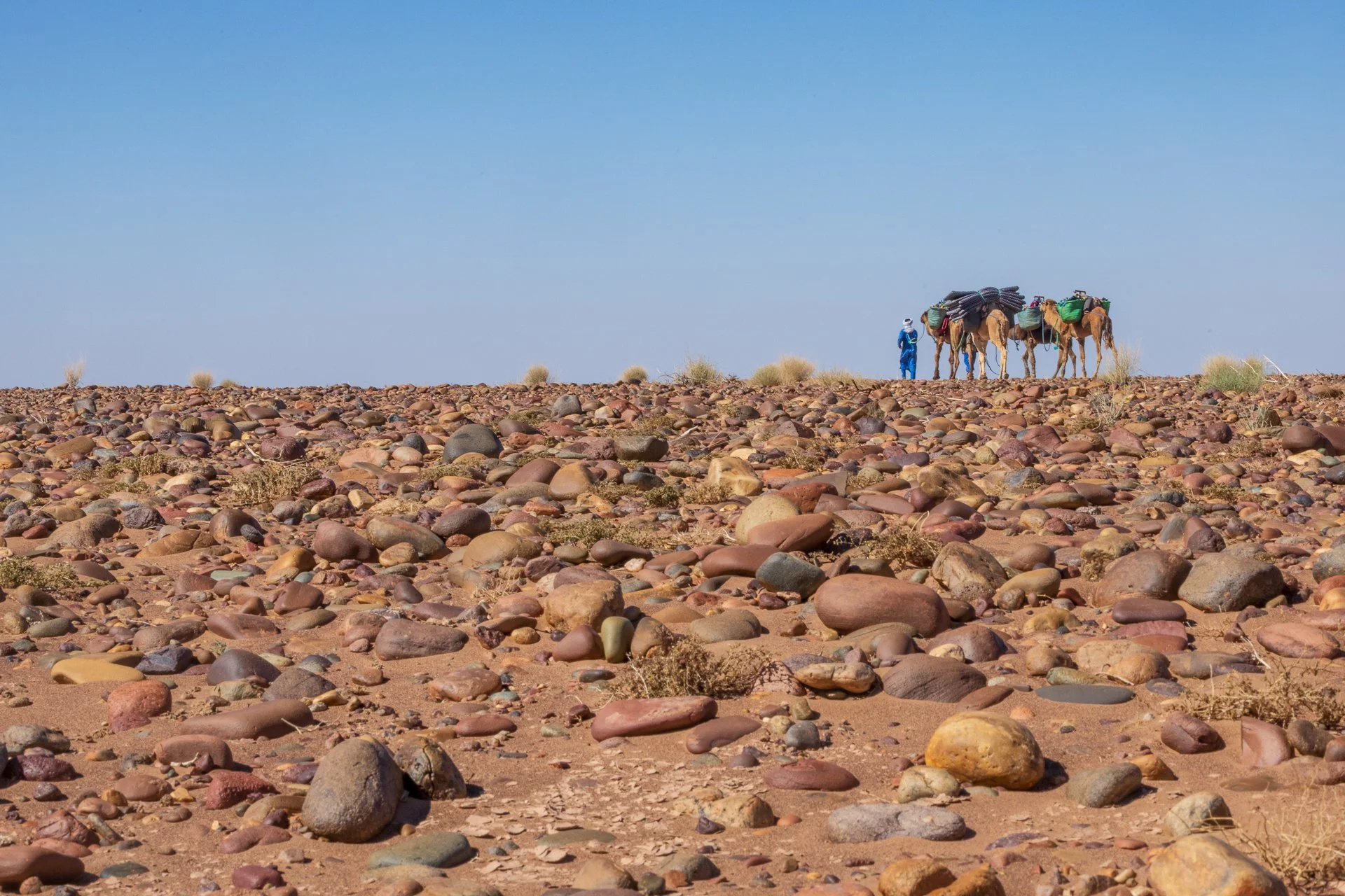 ames du desert - Maroc©Stéphane-Leroy-1366.jpg