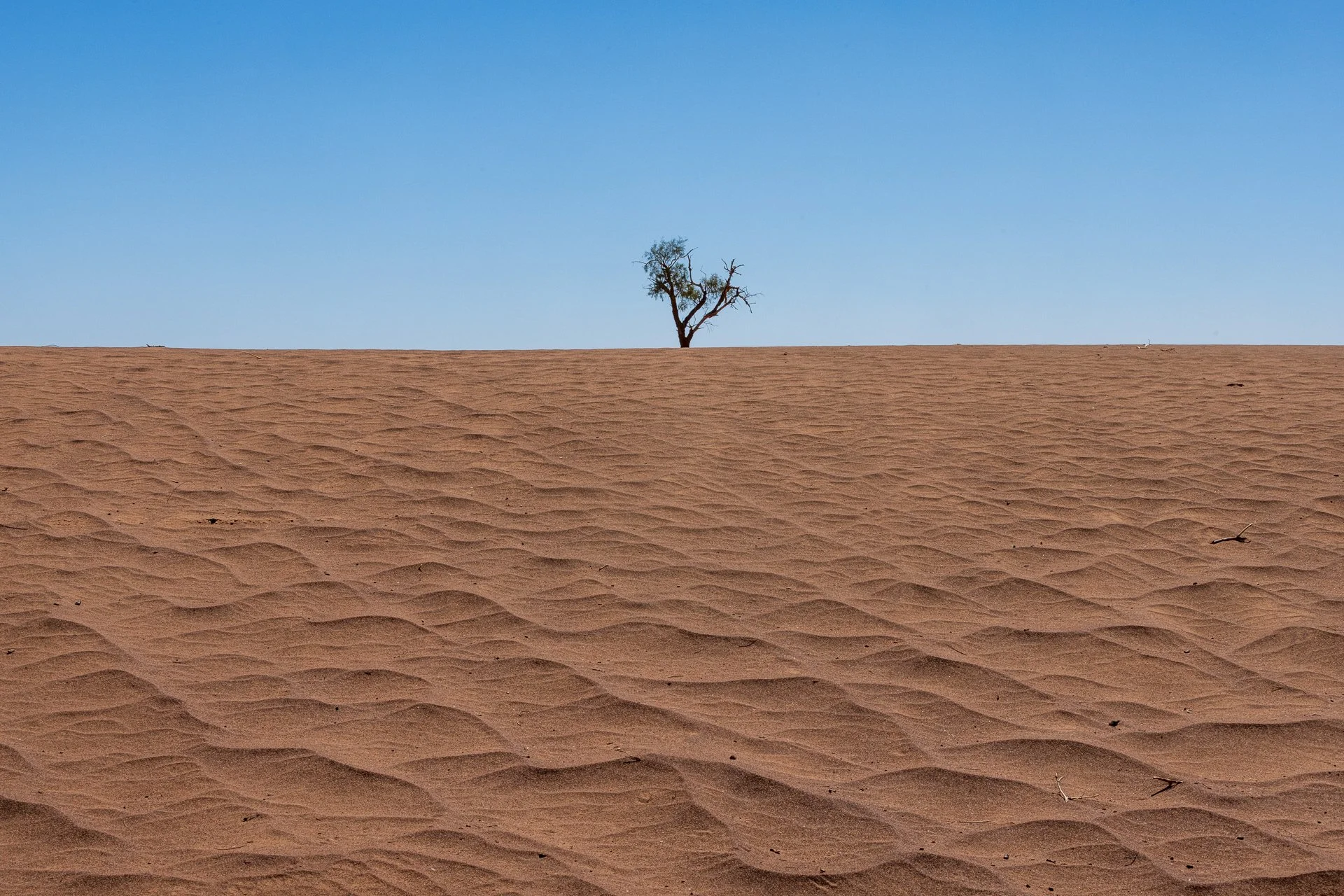 ames du desert - Maroc©Stéphane-Leroy-1495.jpg