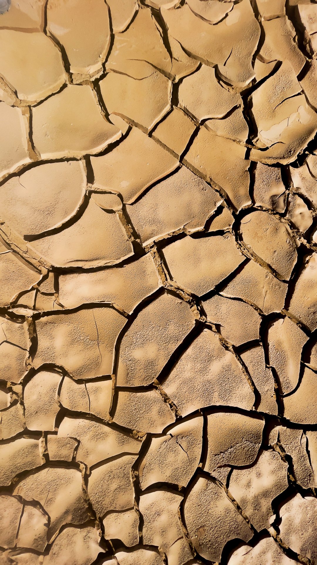 ames du desert - Maroc©Stéphane-Leroy-8325.jpg