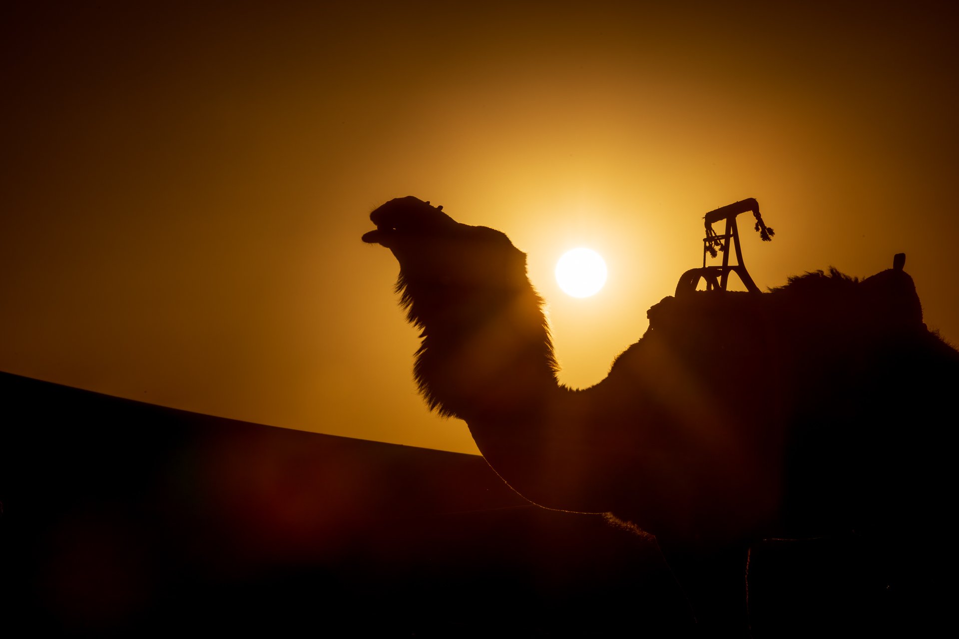 ames du desert - Maroc©Stéphane-Leroy-1555.jpg