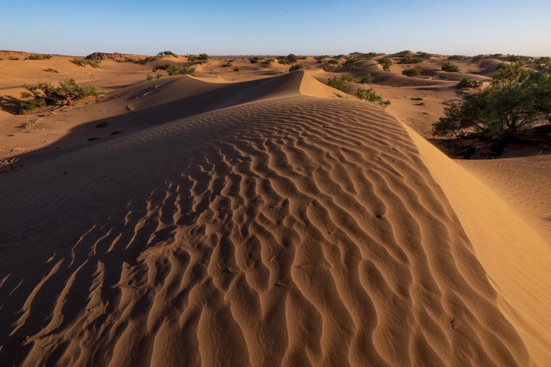 ames du desert - Maroc©Stéphane-Leroy-1246.jpg