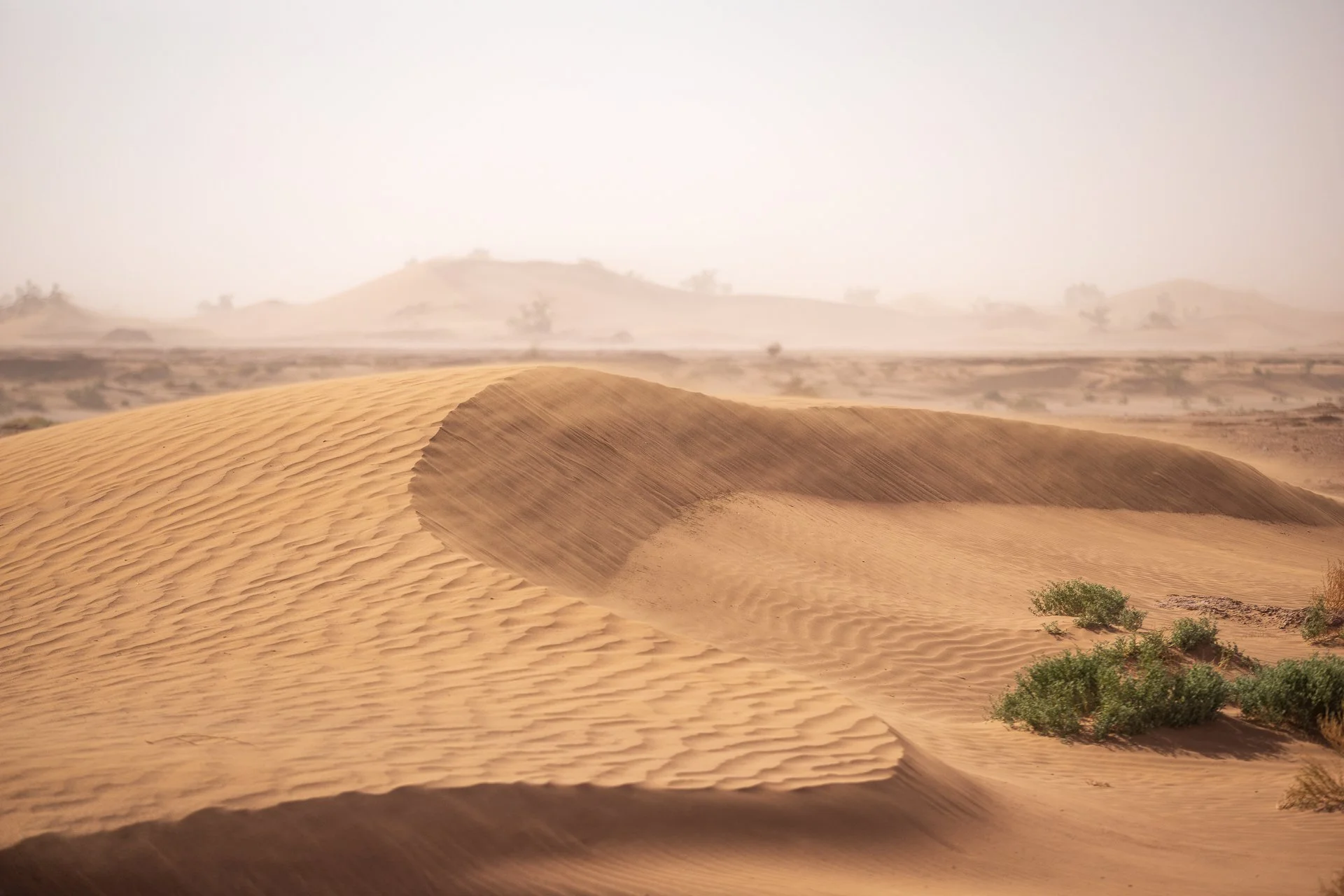 ames du desert - Maroc©Stéphane-Leroy-1006.jpg