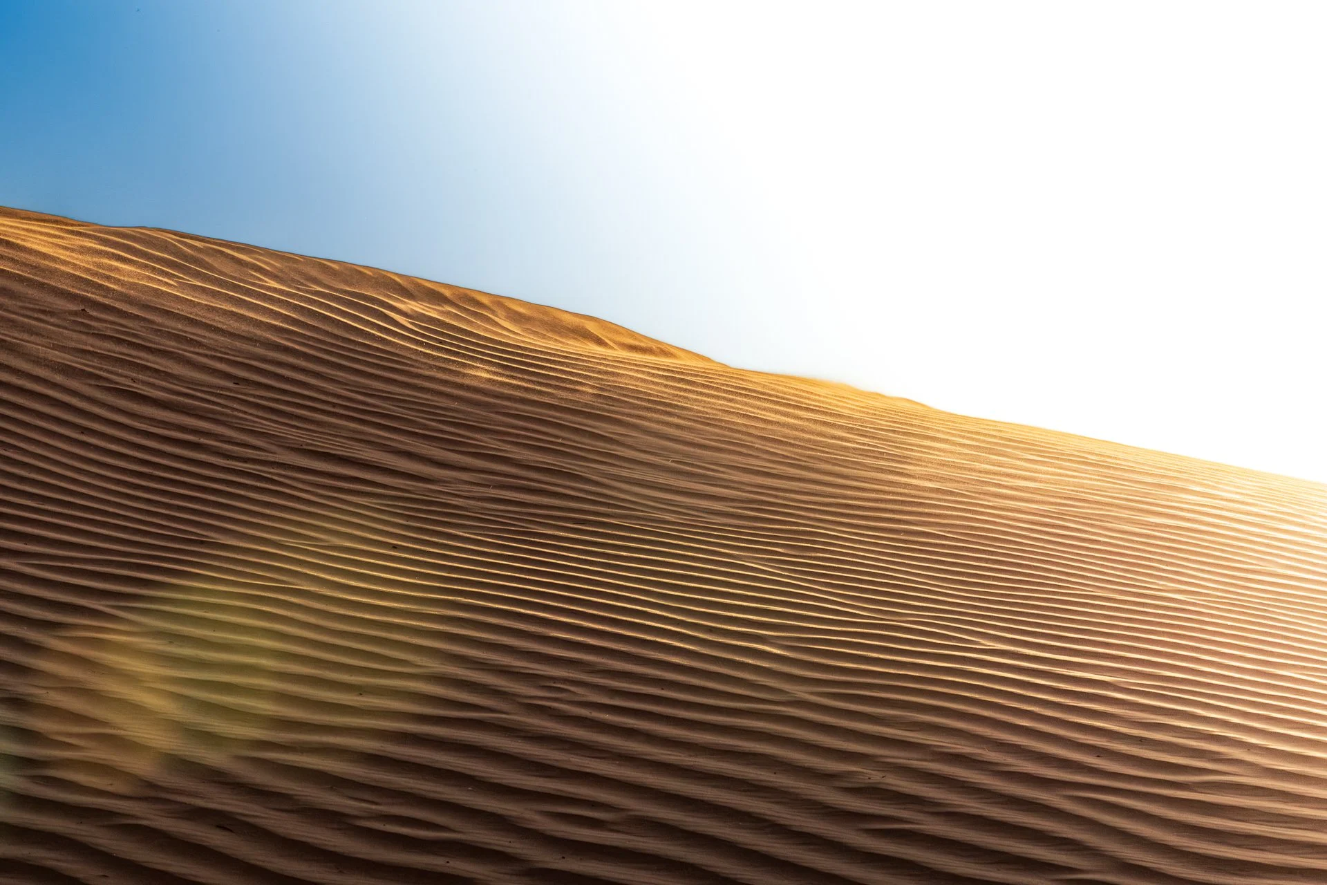 ames du desert - Maroc©Stéphane-Leroy-0974.jpg