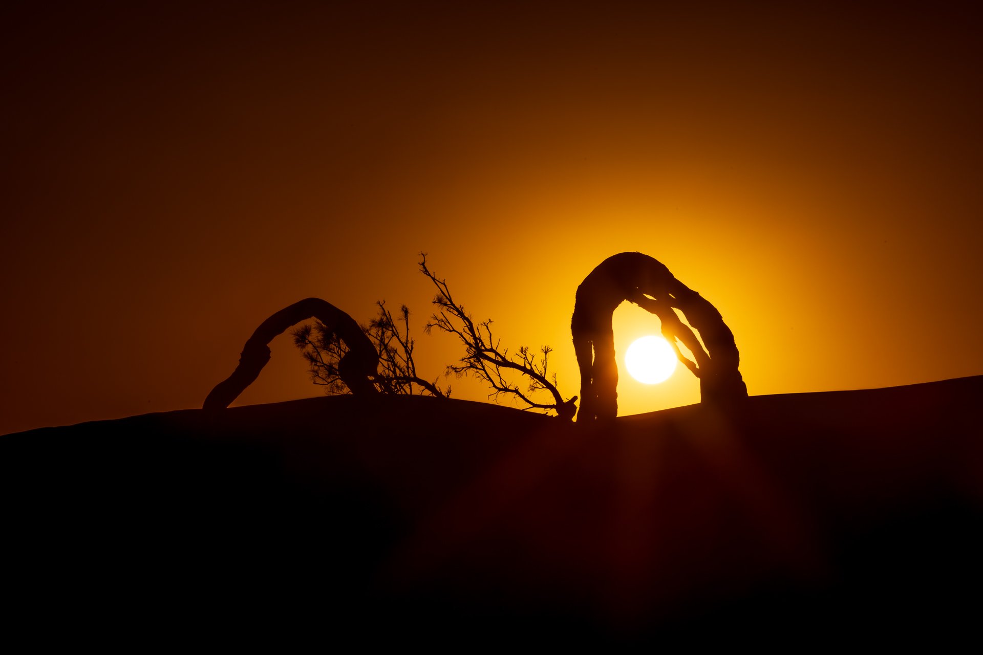 ames du desert - Maroc©Stéphane-Leroy-1583.jpg