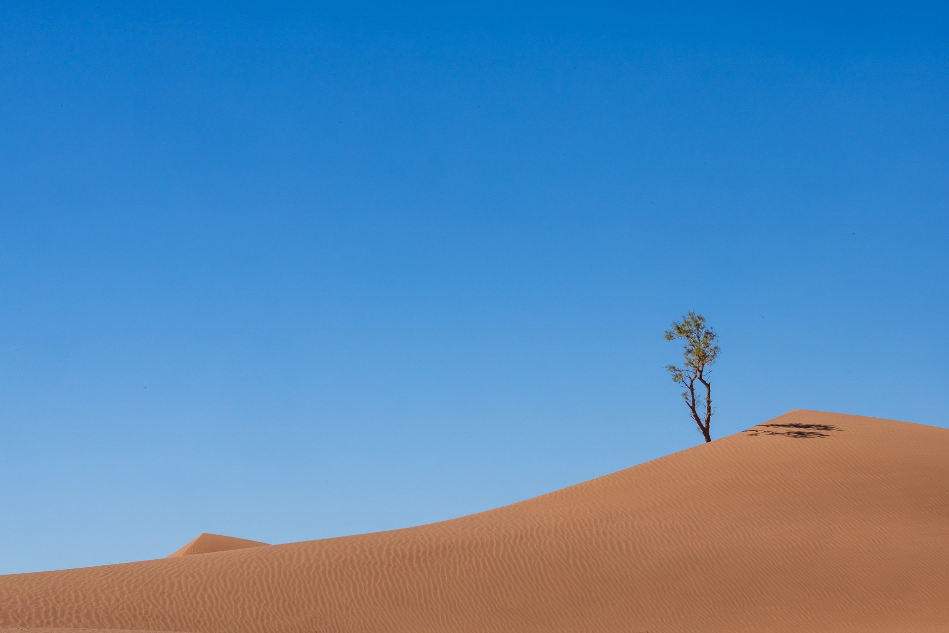 ames du desert - Maroc©Stéphane-Leroy-1502.jpg