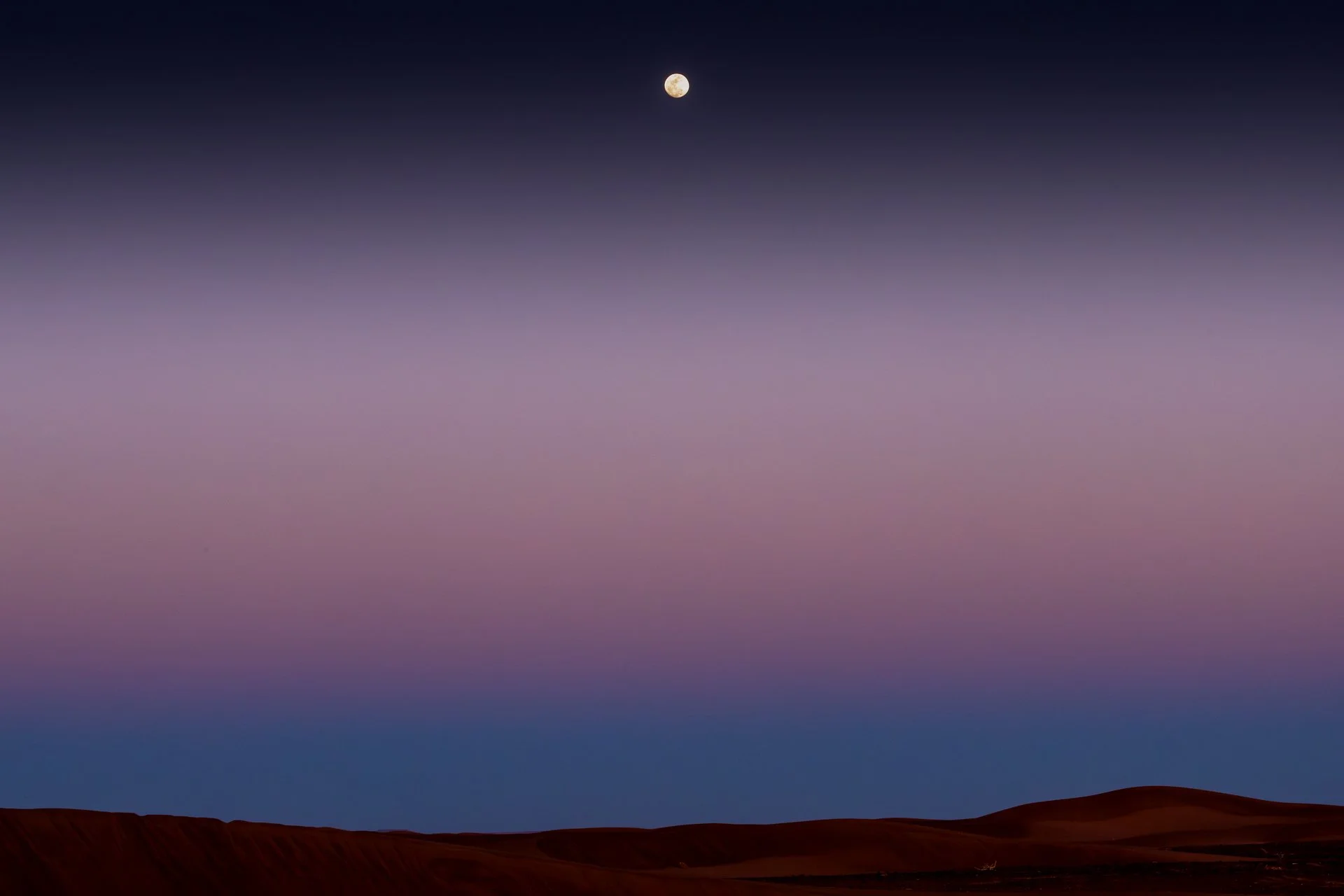 ames du desert - Maroc©Stéphane-Leroy-1640.jpg