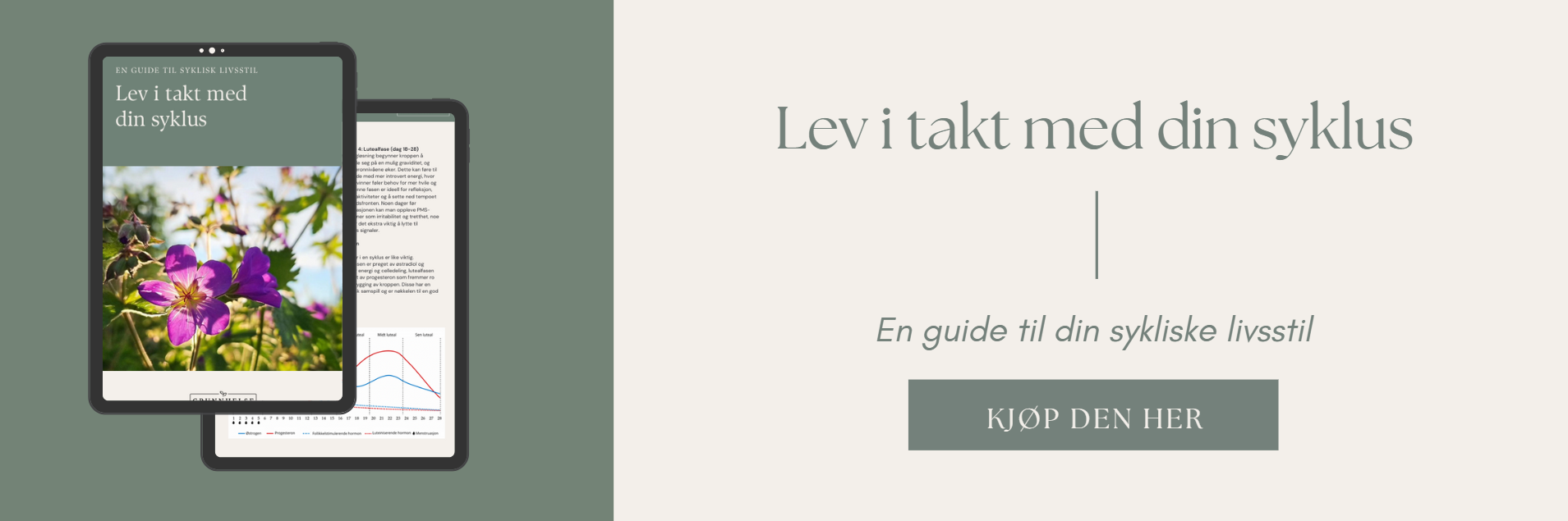 En guide til din sykliske livsstil