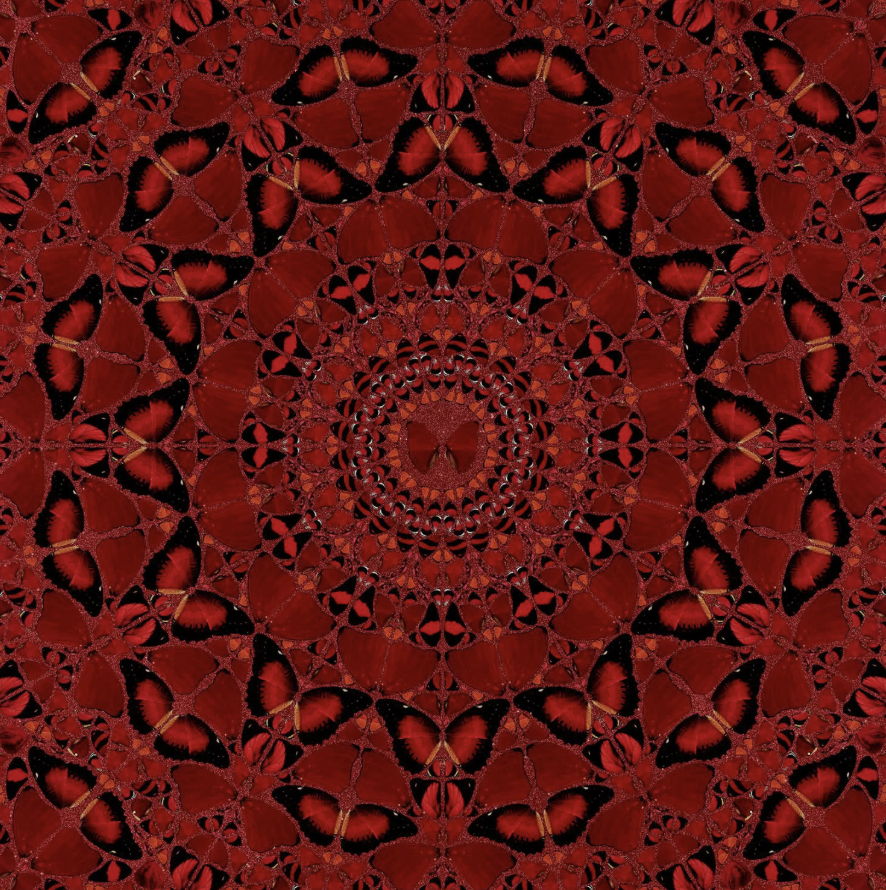 Screenshot 2026-07-28 at 13.03.41.png