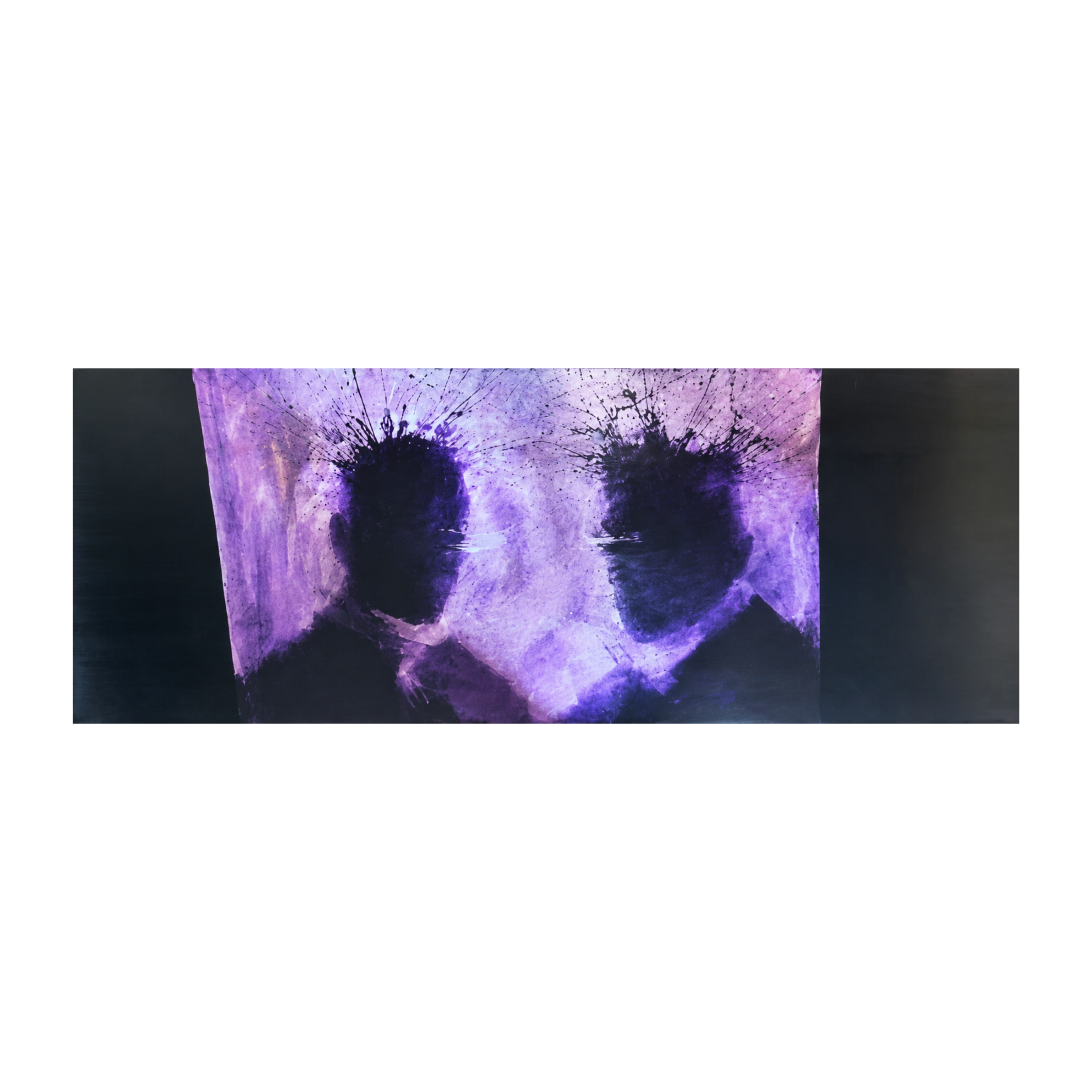 Double Purple Shadow Head